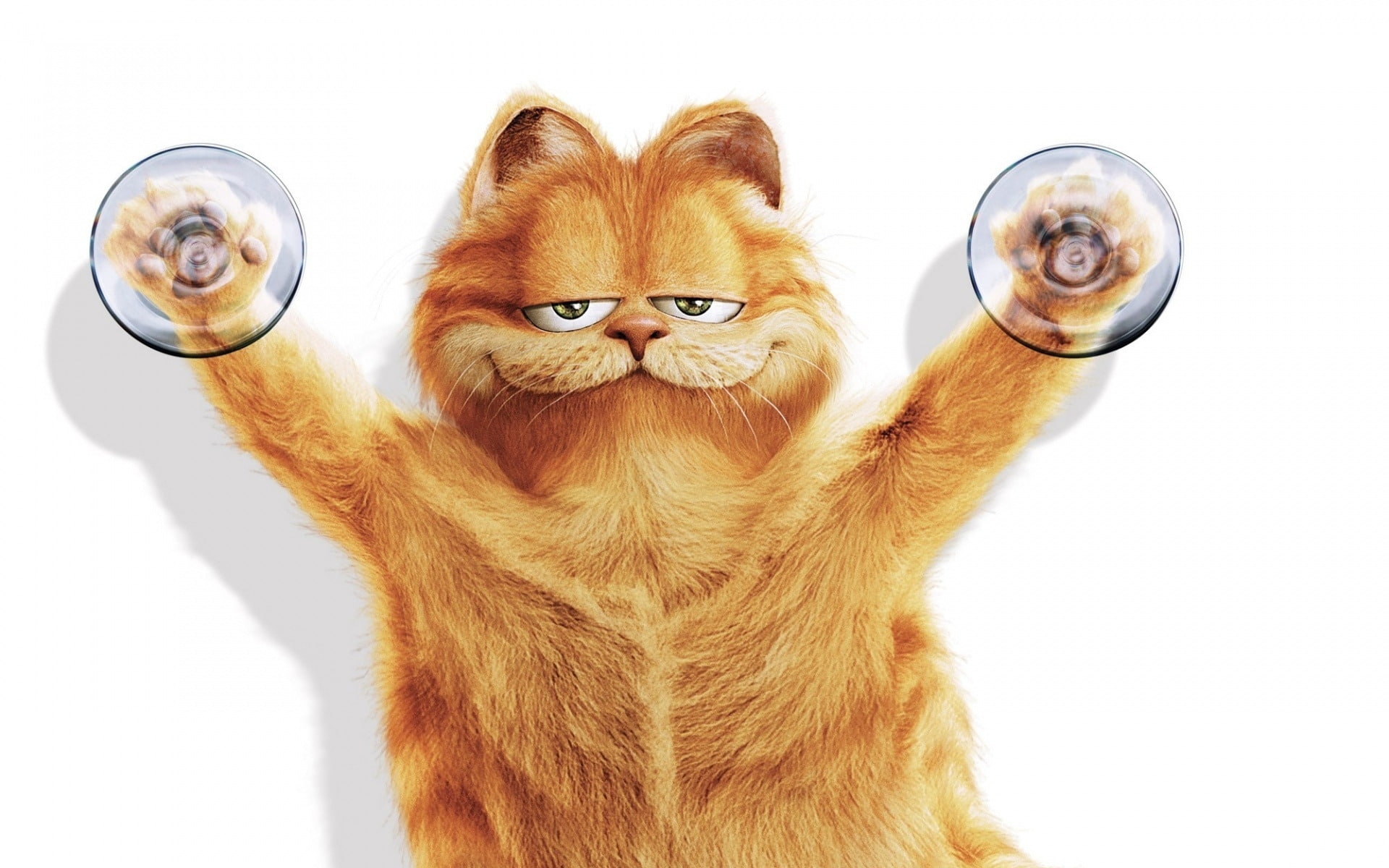 cat, character, 1080P, comedy, animation, yellow, garfield, HD Wallpaper