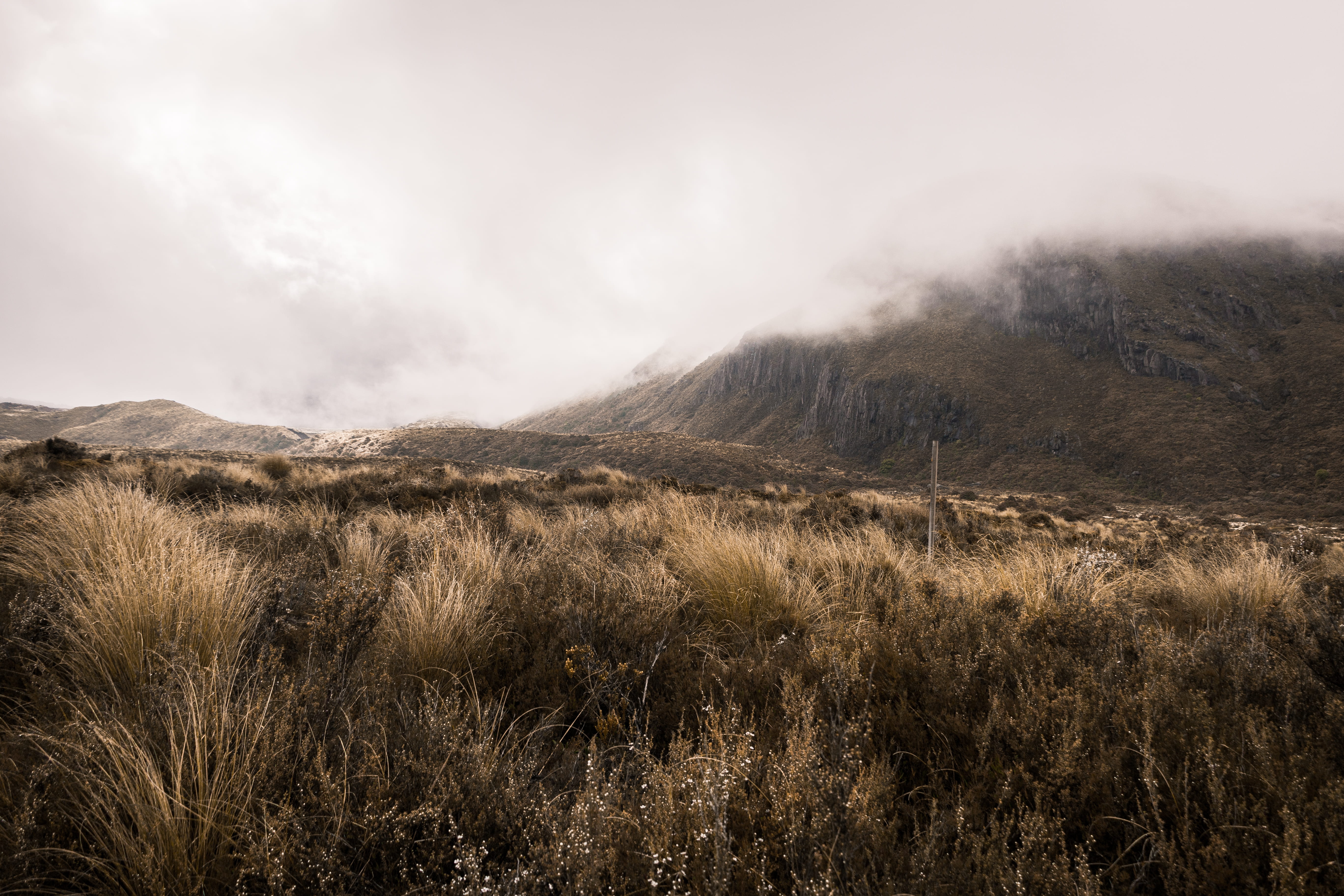 cloud, plant, tongariro alpine crossing, new zealand, windswept, aov, landscape, art, visuals, day, mountain, tongariro national park, smog, wind, sky, HD Wallpaper