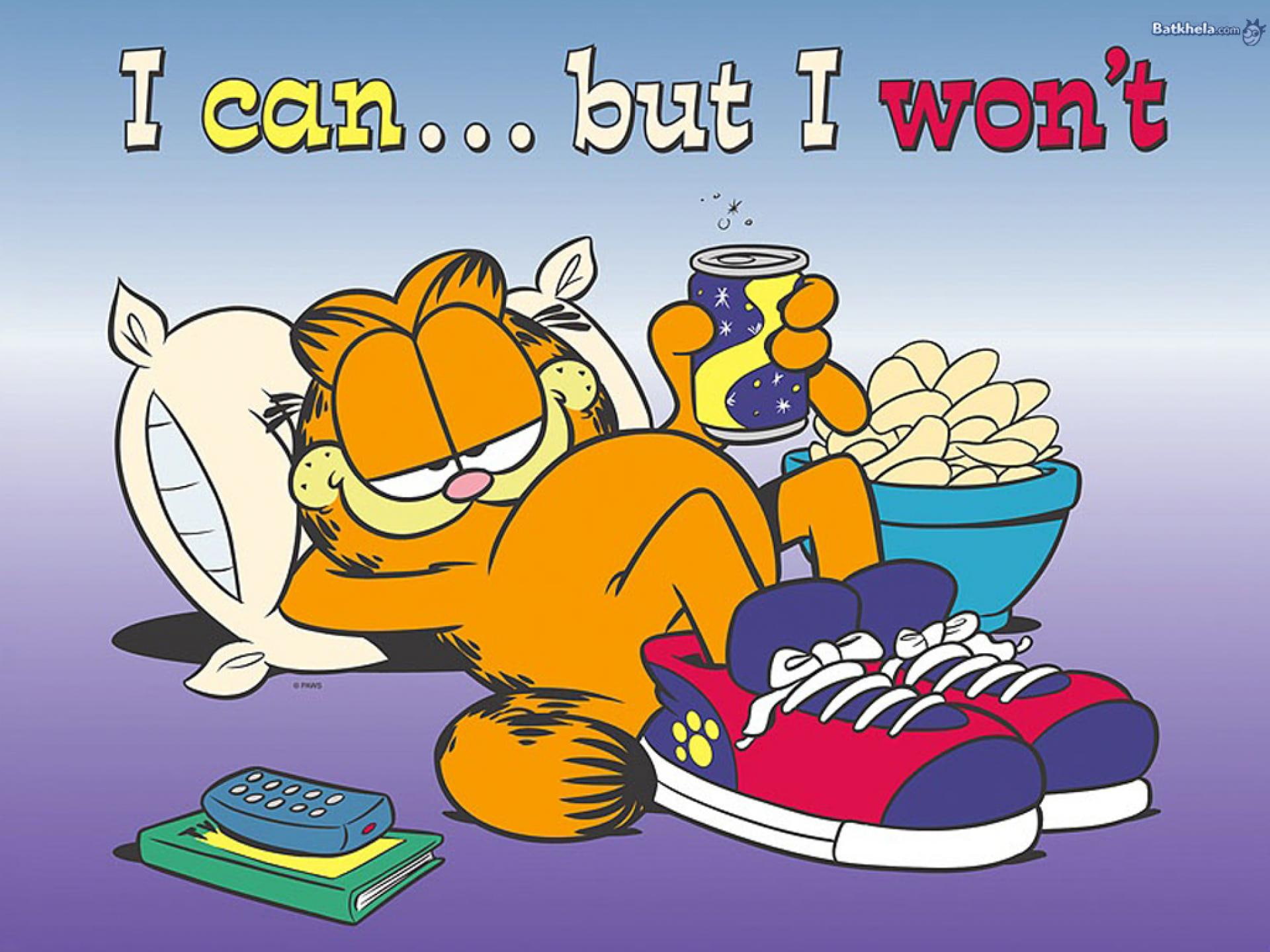 fq, garfield, 1080P, gallery, HD Wallpaper