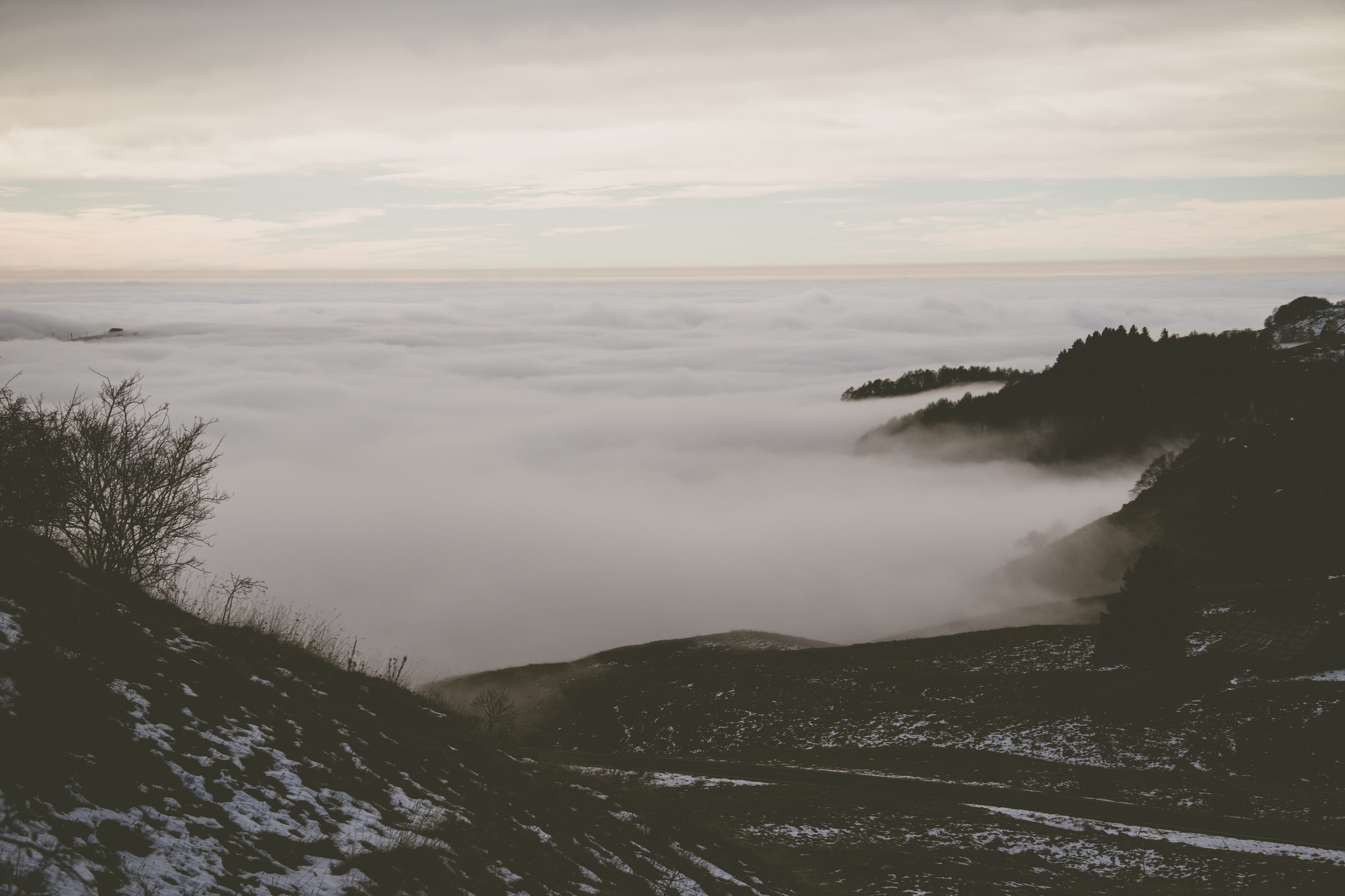 cloud - sky, tree, plateau, italy, power in nature, countryside, no people, mist, tranquil scene, bosco chiesanuova, alps, fog, mountain range, nature, HD Wallpaper