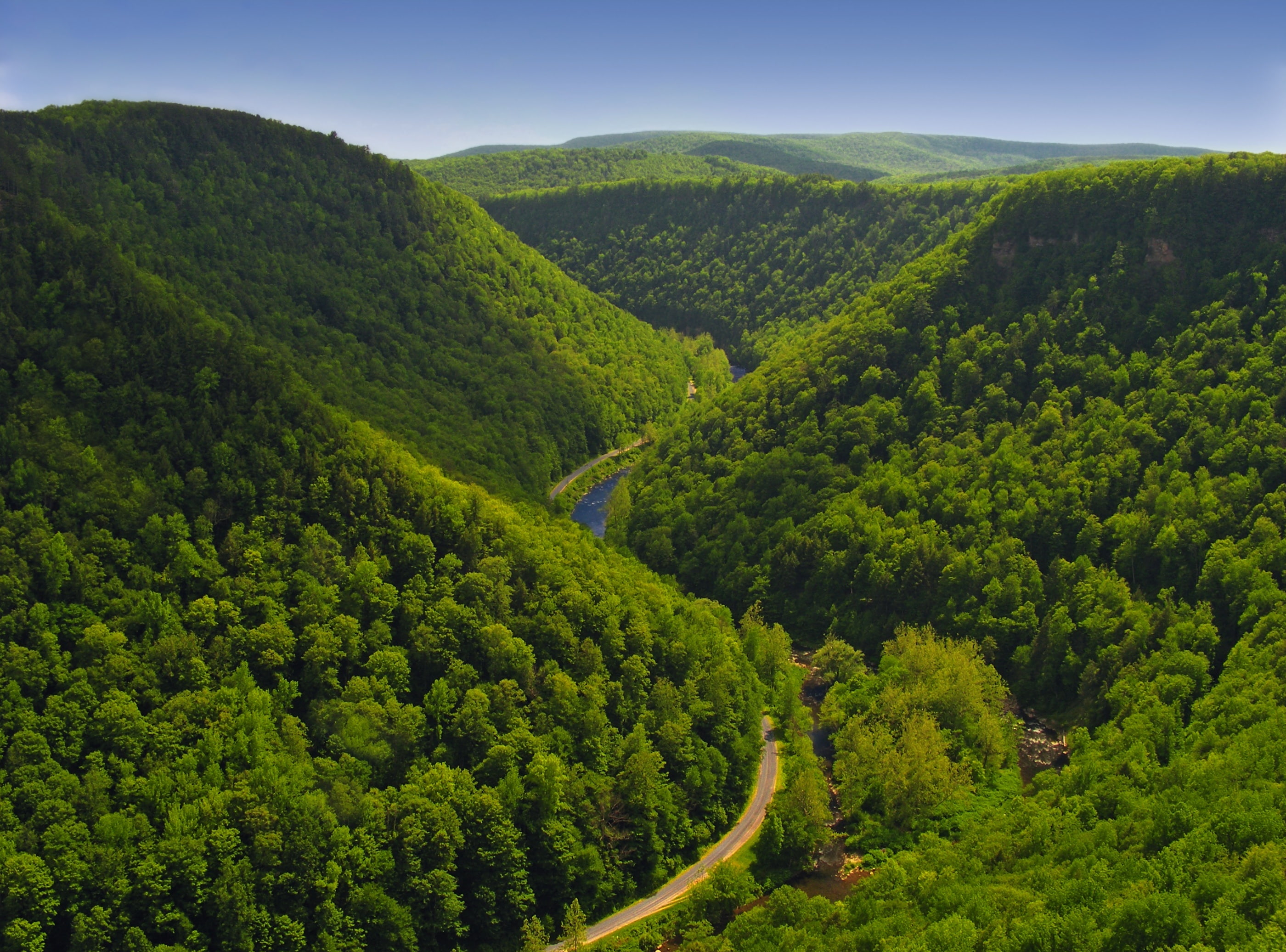 mountain, outdoors, land, environment, green, Hiking, Allegheny Plateau, tranquil scene, bright light, day, Pine Creek Gorge, 2K, no people, Spring, Landscape, HD Wallpaper