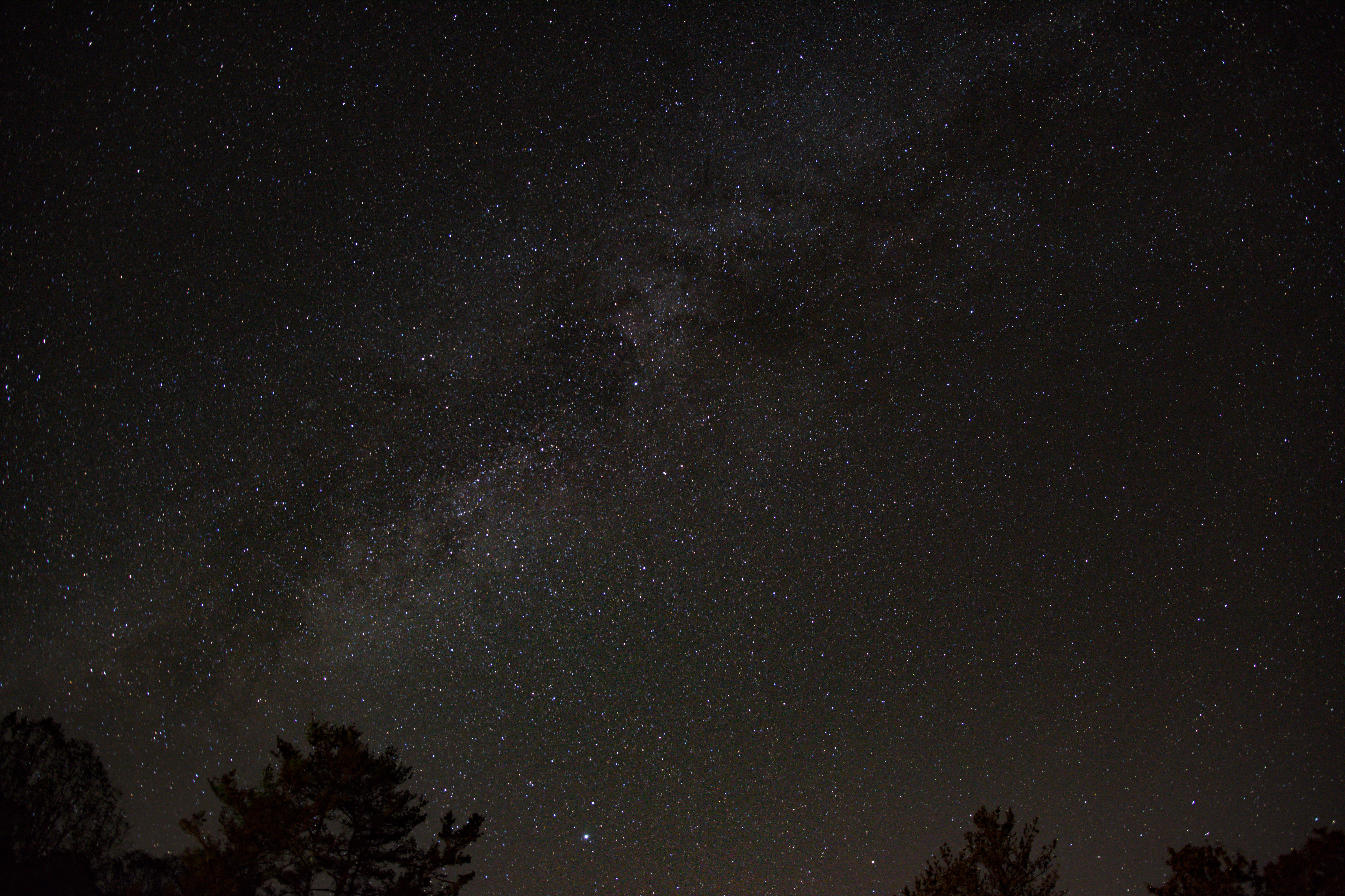 5K, star, angle, outer space, dot, tree, plant, night sky, scenics - nature, no people, photography, star field, beauty in nature, sky, space, stars, universe, HD Wallpaper