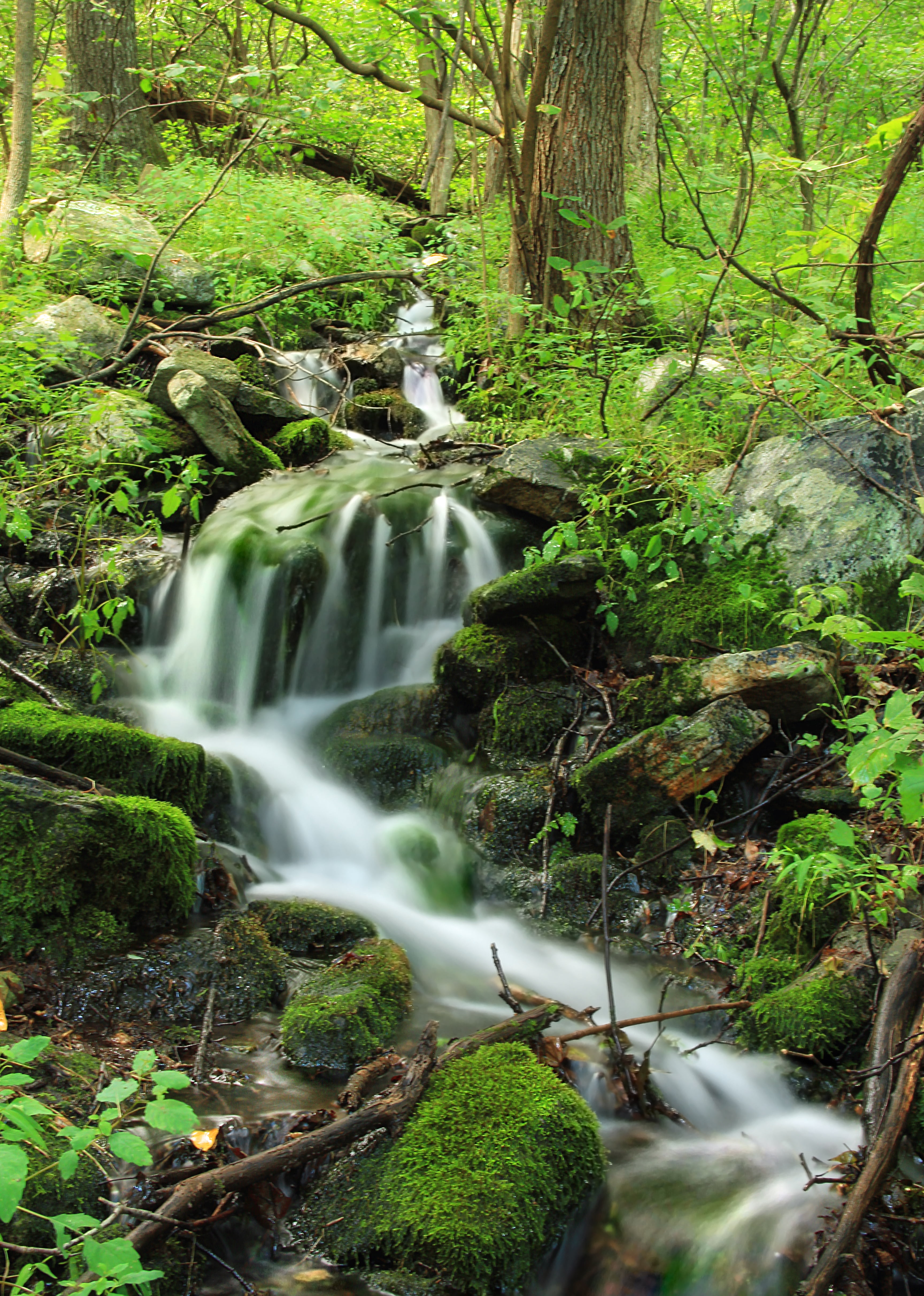 photography, scenics, freshness, landscape, creative commons, SGL, waterfall, vegetation, moss  forest, creek, Appalachian Trail, forest, Blue Mountain, Phone HD Wallpaper
