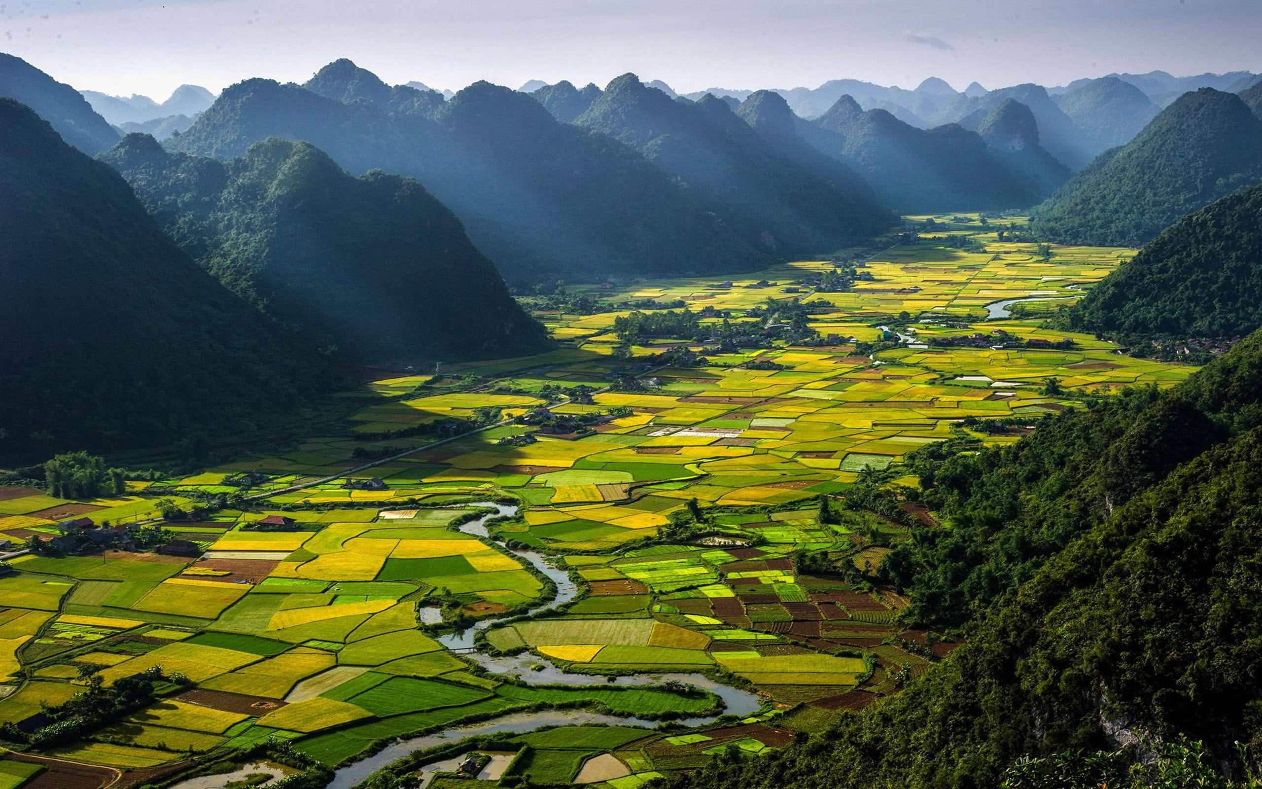 hd, desktop, landscape, 2K, pauline, vietnam, rice, HD Wallpaper