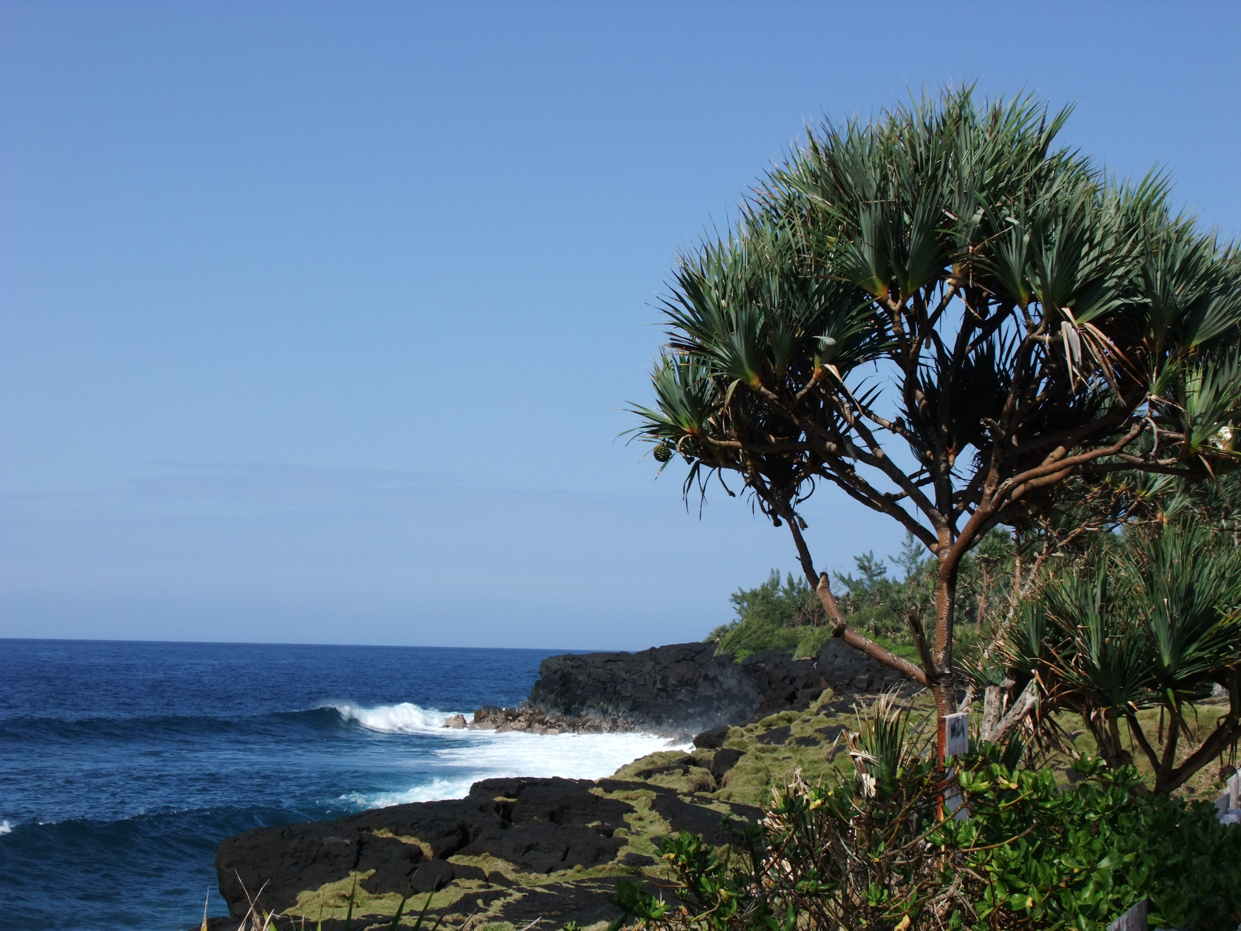 clear sky, scenics - nature, beach, cliff, tranquility, water, side, horizon over water, outdoors, land, day, horizon, reunion island, growth, indian ocean, HD Wallpaper