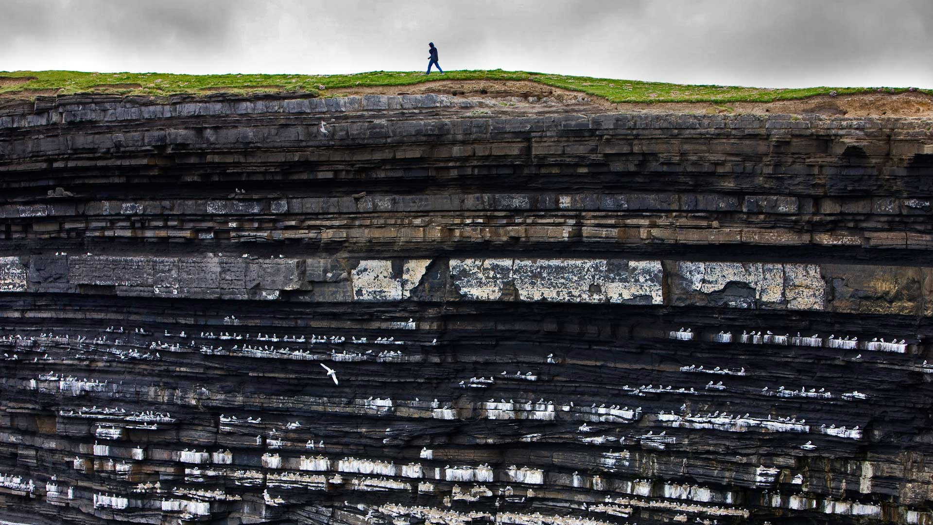 rock, Ireland, standing, men, nature, seagulls, photo, birds, gray, people, grass, overcast, 1080P, person, walking, cliff, HD Wallpaper