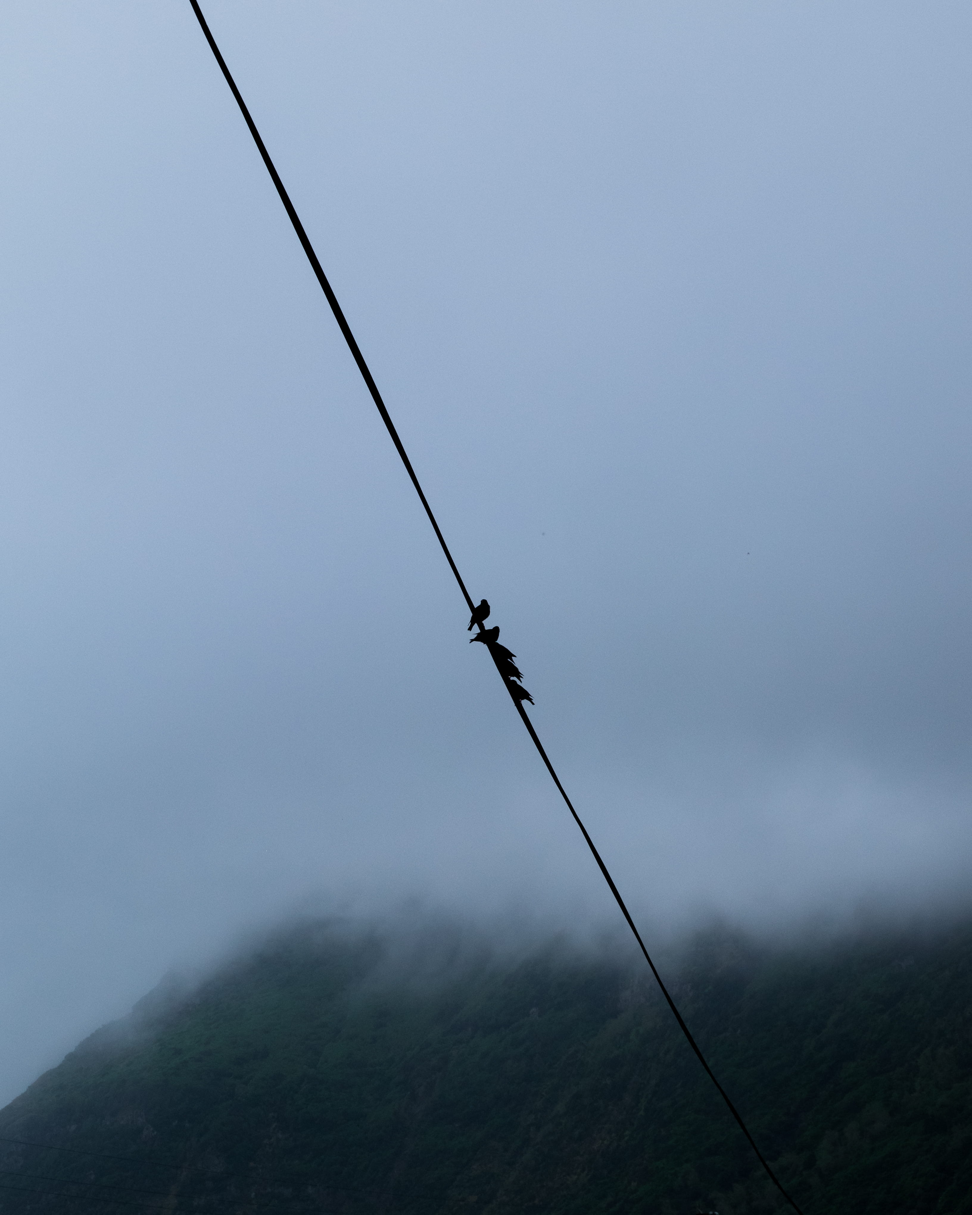 mistery, gloomy, day, outdoors, fishing, silhouette, balancing, copy space, tranquility, fishing rod, beauty in nature, sky, nature, grey, rod, cable, foggy, Phone HD Wallpaper