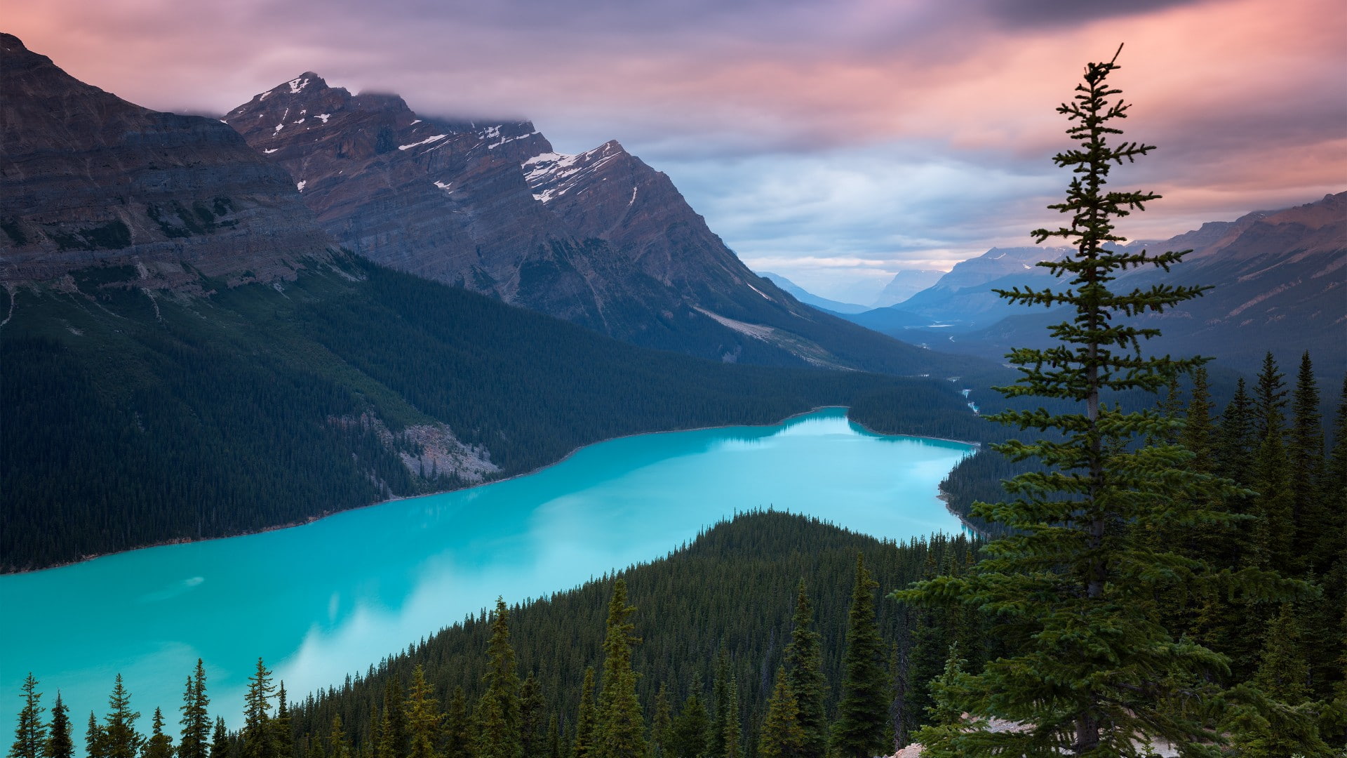 mountains, Peyto Lake, lake, forest, nature, 1080P, Canada, HD Wallpaper