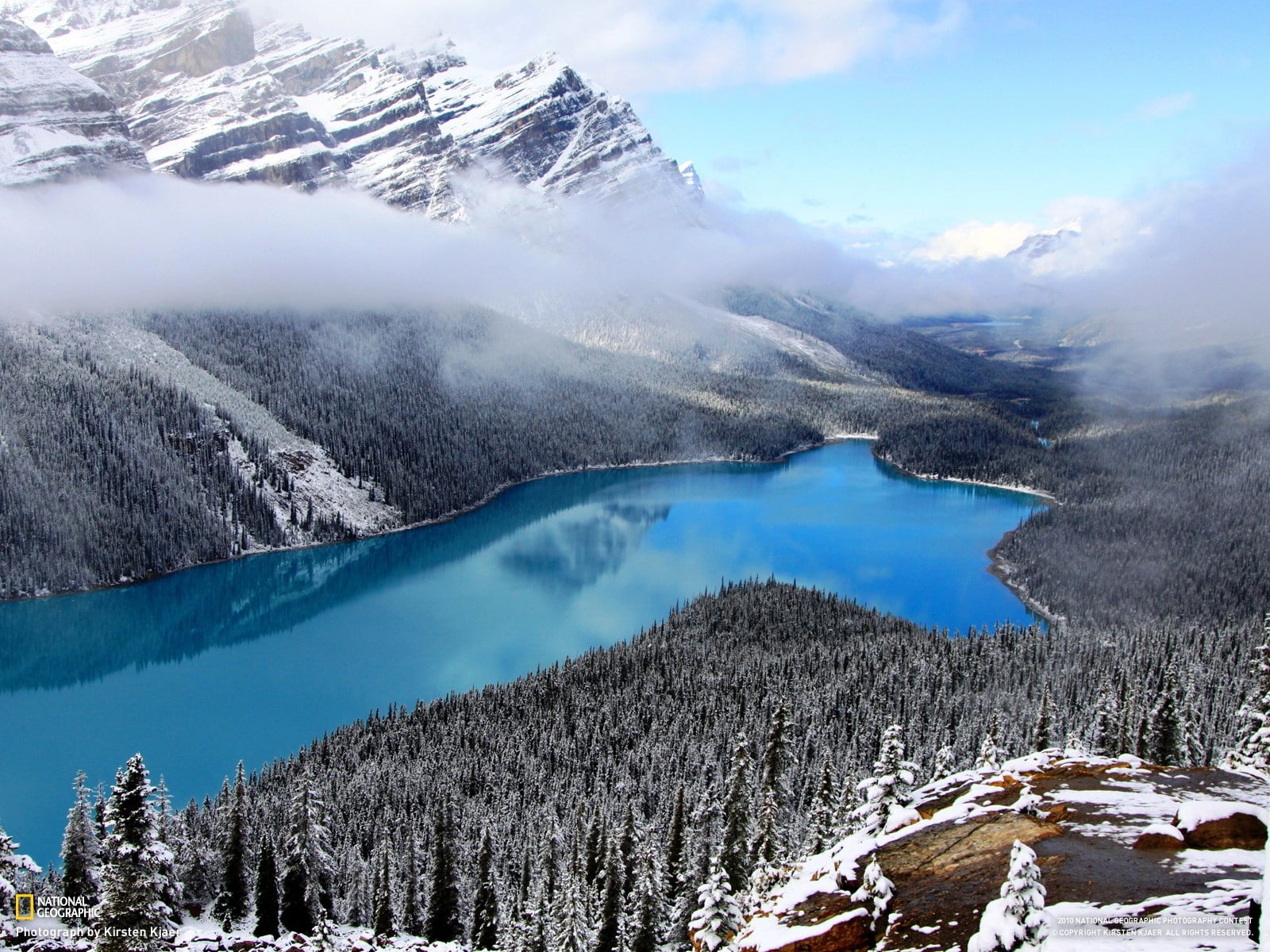 plant, cold temperature, lake, landscape, Peyto Lake, outdoors, Rocky Mountains, day, tranquil scene, no people, winter, nature, scenics - nature, beauty in nature, HD Wallpaper