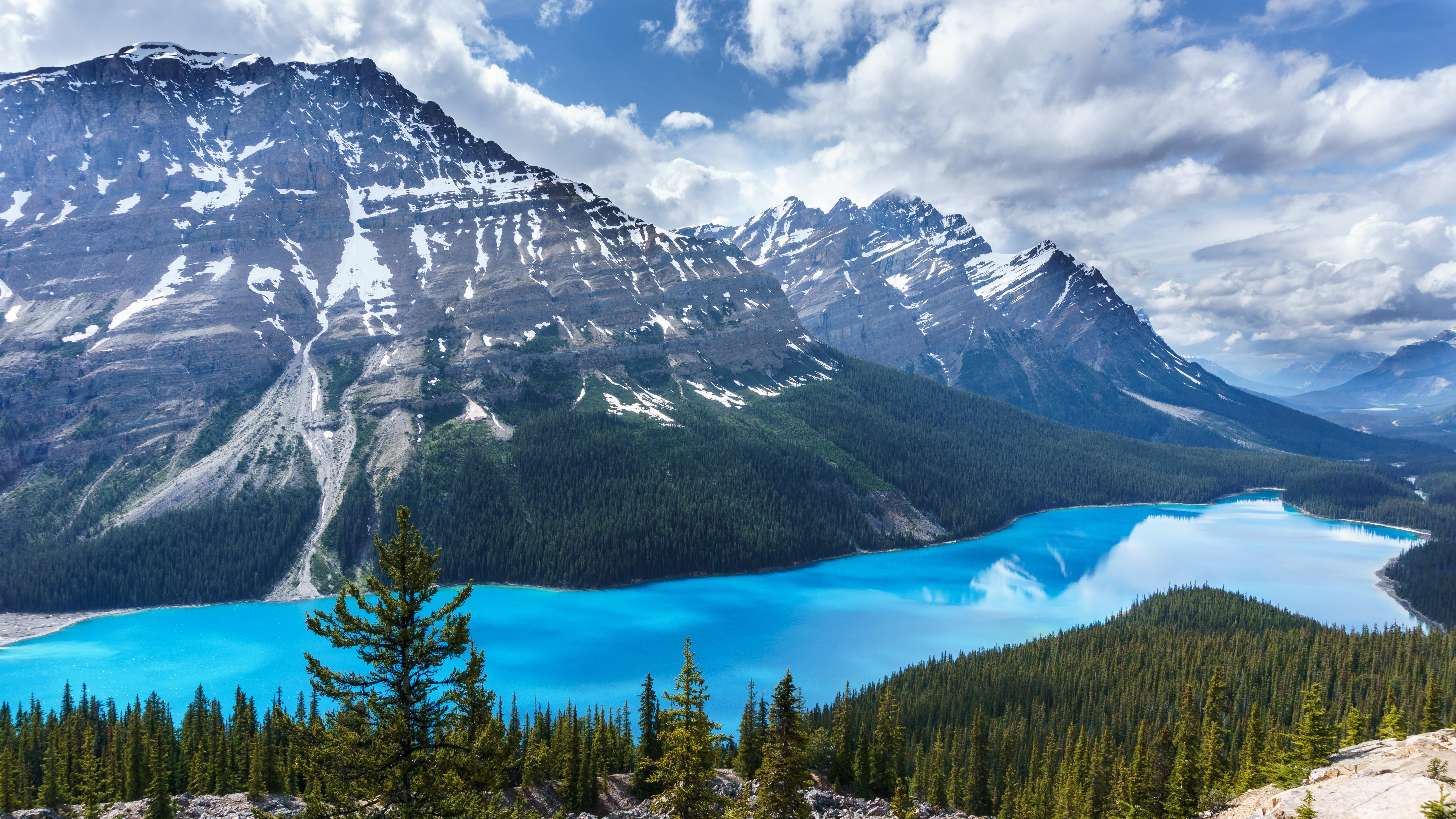 sky, mountains, 5K, trees, Canada, Peyto Lake, blue, lake, Banff National Park, HD Wallpaper