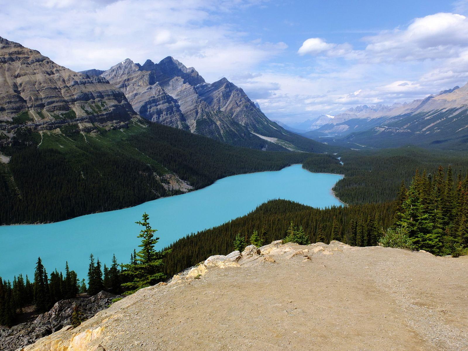 lake, mountain, 720P, nature, forest, peyto, HD Wallpaper