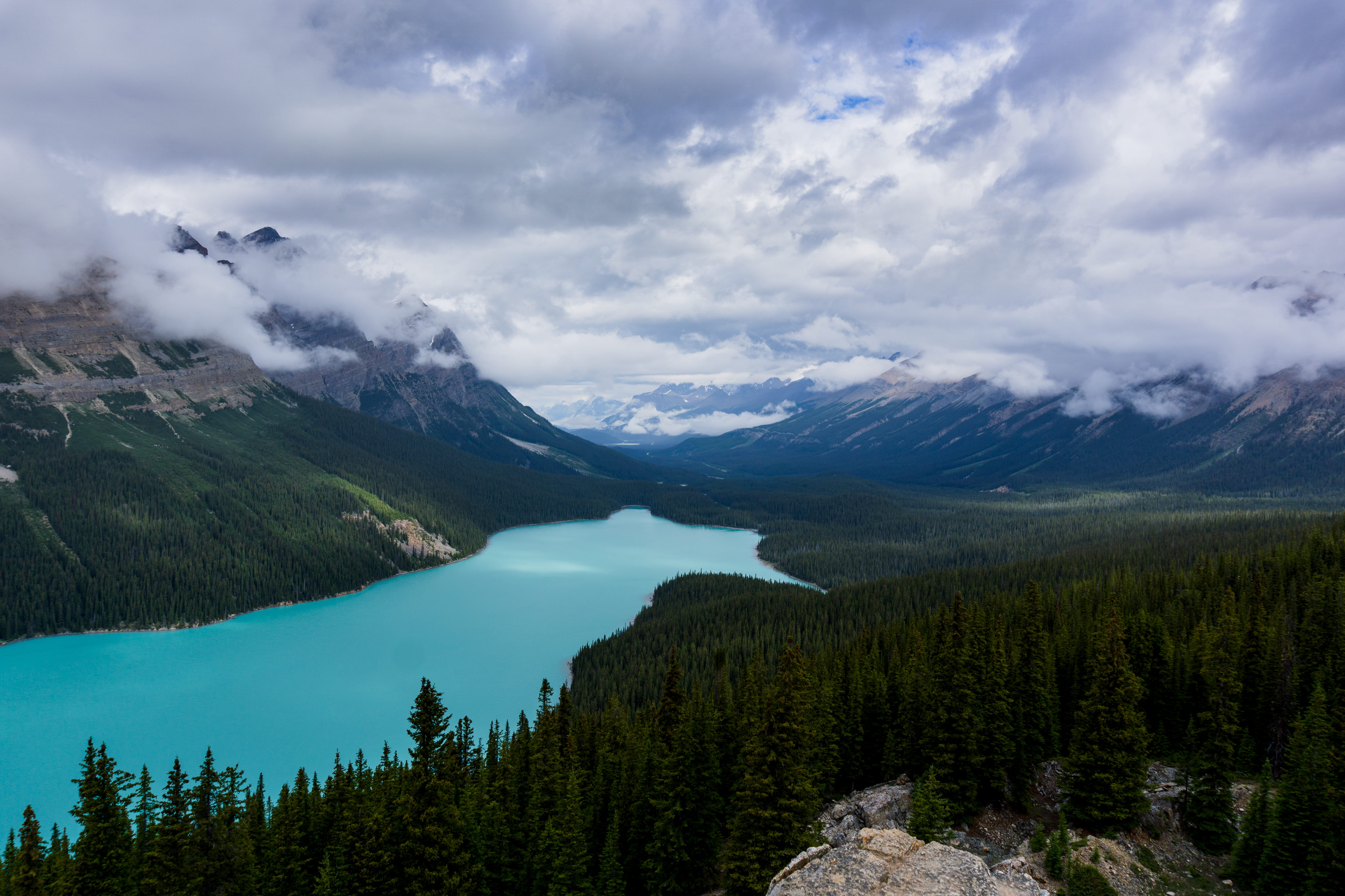 flora, plant, mountain range, scenics - nature, snowcapped mountain, lake, scenery, no people, water, cloud - sky, grass, sky, pine woodland, pine tree, HD Wallpaper