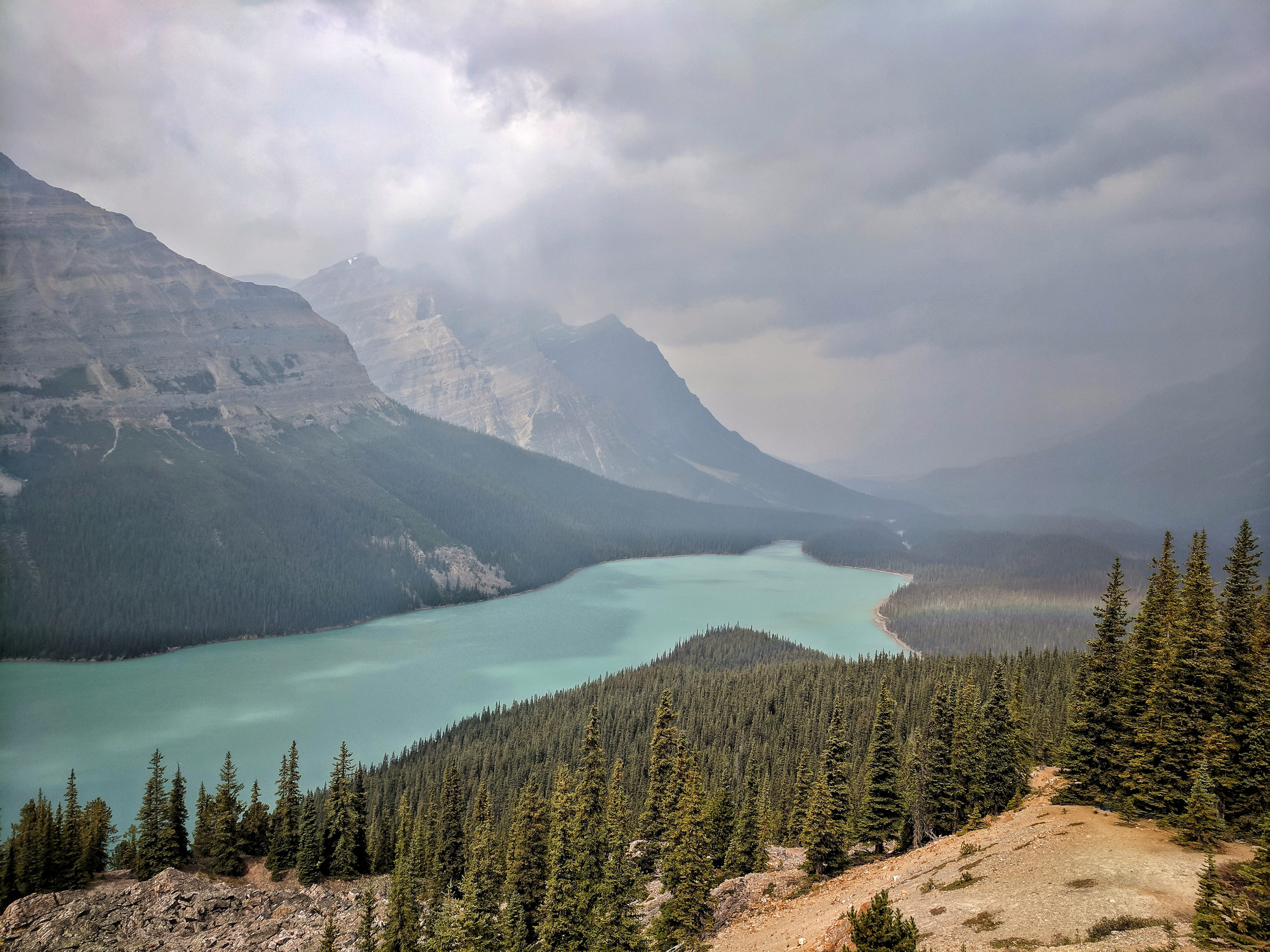 forest, aerial, beauty in nature, scenics - nature, no people, mountain range, idyllic, peyto lake, woodland, plant, photography, cloud, sky, day, pine tree, HD Wallpaper