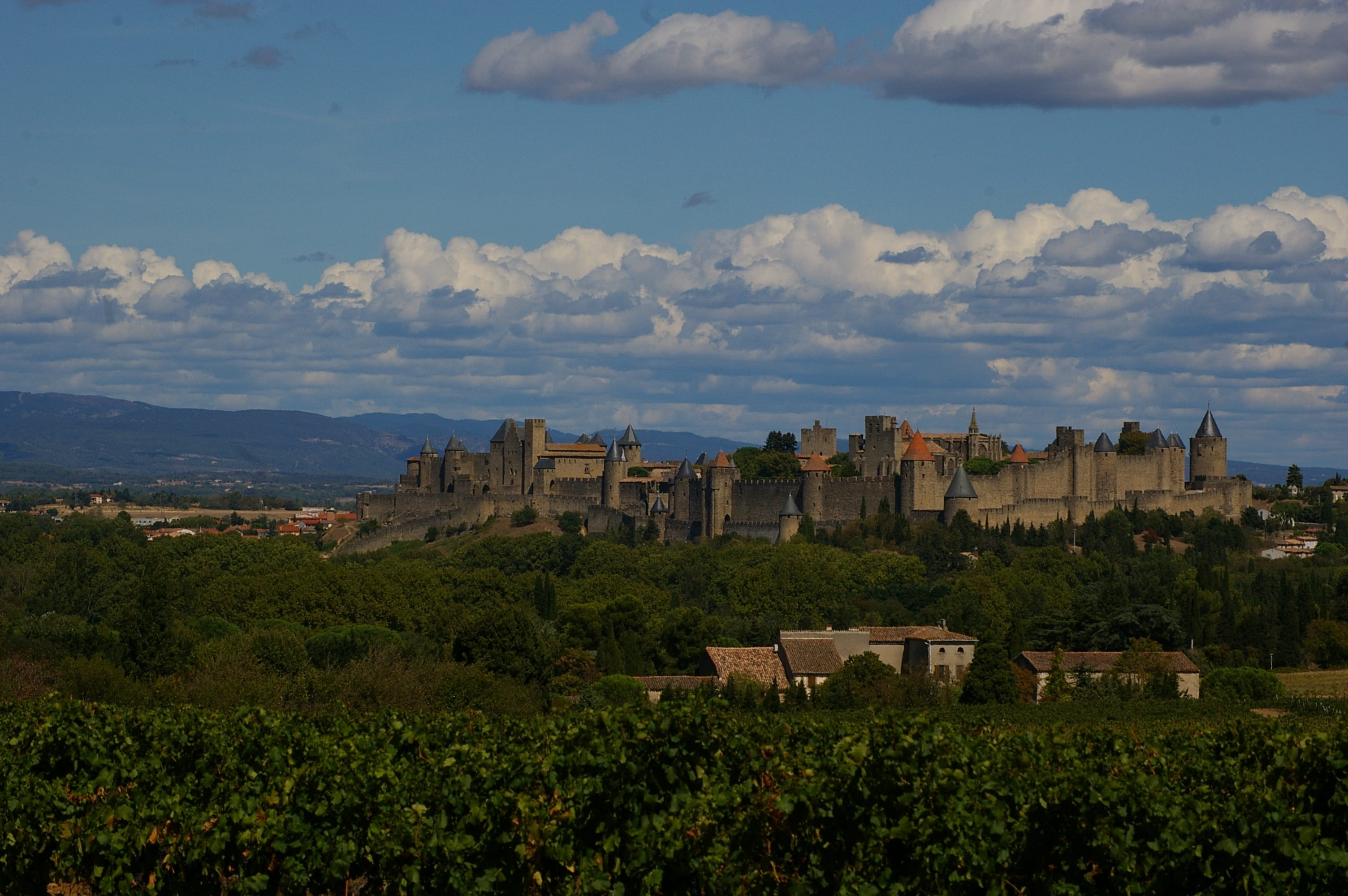 2K, day, outdoors, sky, france, nature, tree, old, plant, the past, land, clouds, carcassonne, ancient, cloud - sky, built structure, architecture, history, HD Wallpaper