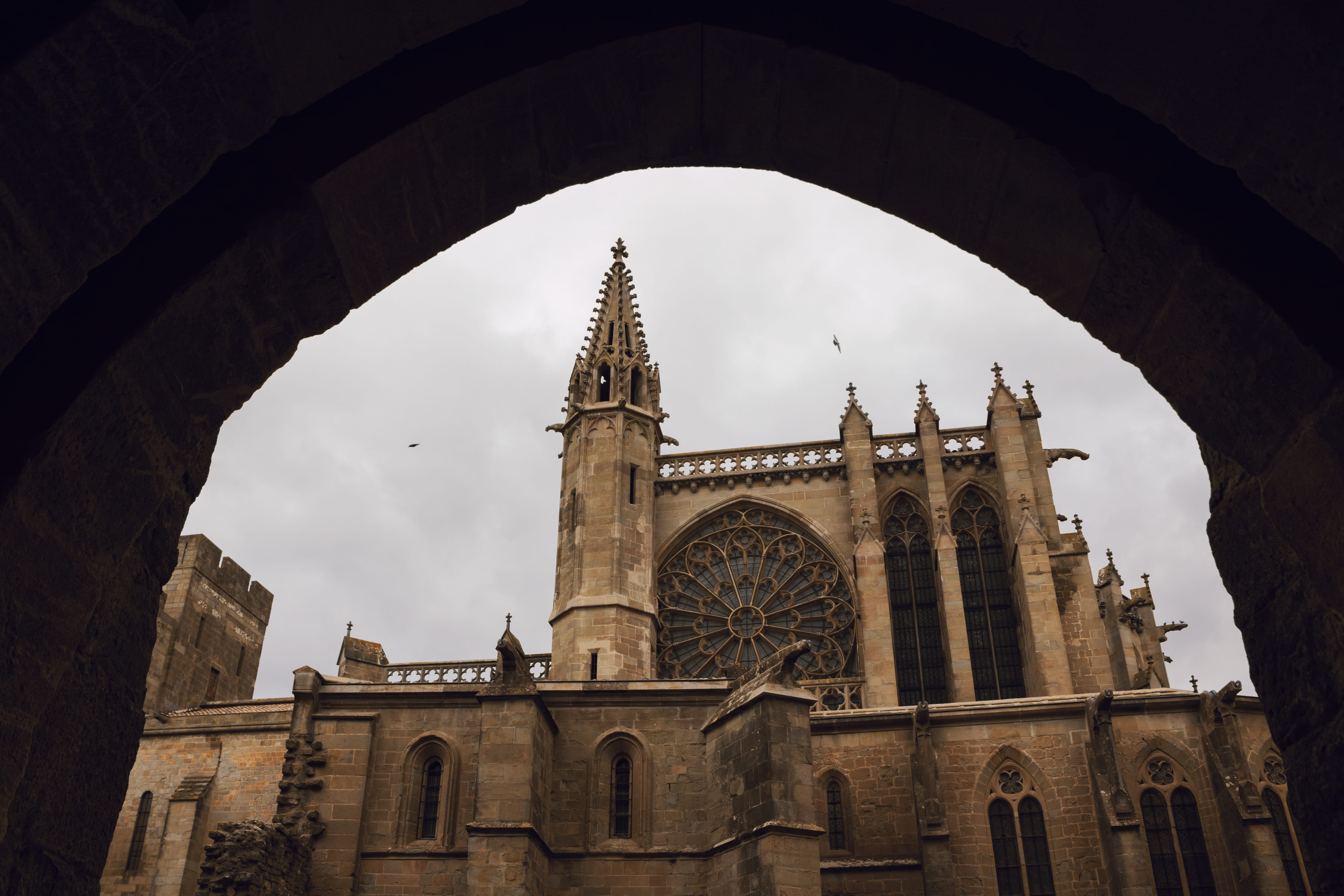 color, nature, place of worship, carcassonne, outdoors, arch, cité de carcassonne, france, spirituality, building exterior, religion, built structure, dove, HD Wallpaper