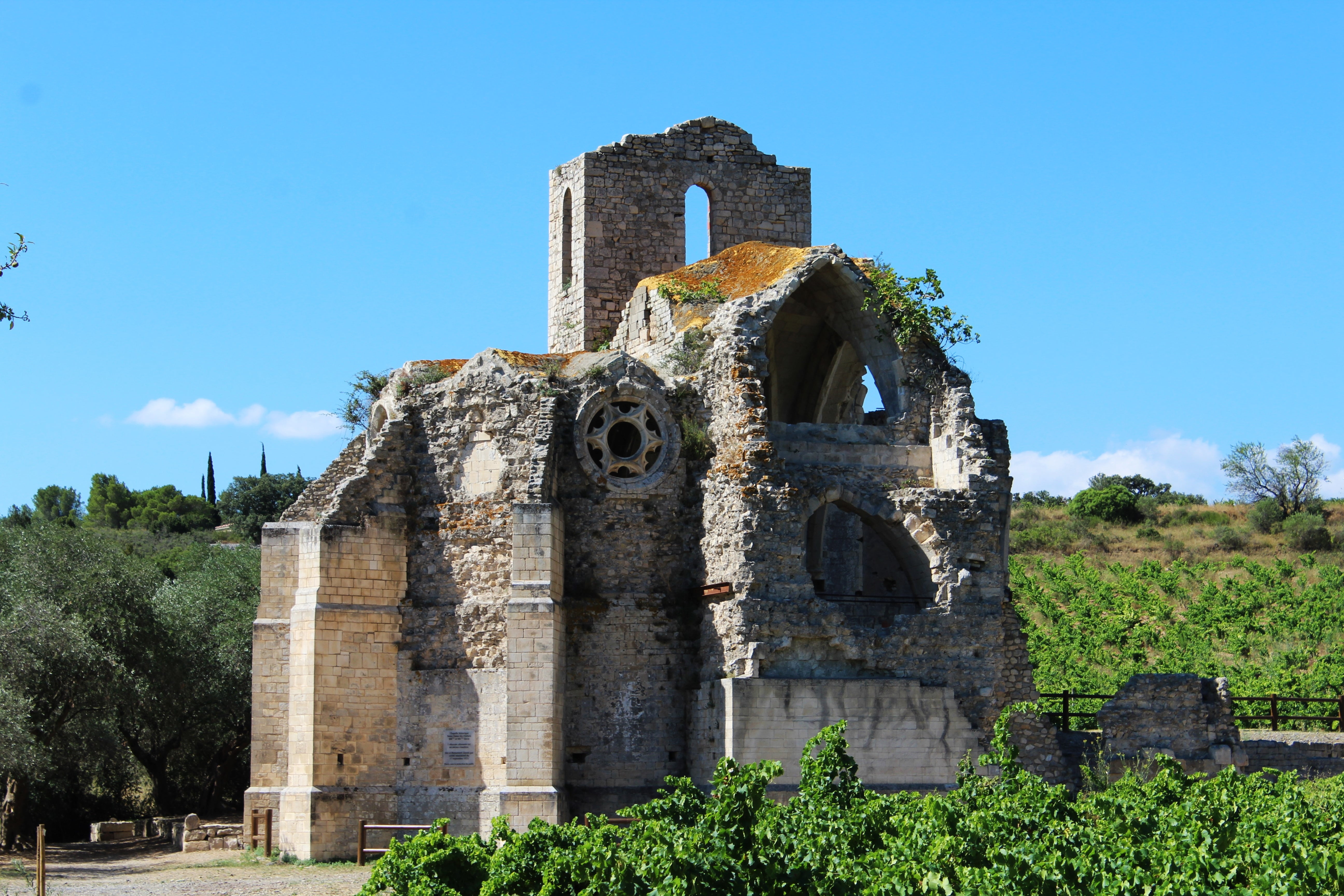 sunlight, old, church, 5K, outdoors, ruined, ruin, vine, heritage, day, remains, religion, blue, cathar church, built structure, history, old ruin, sky, HD Wallpaper
