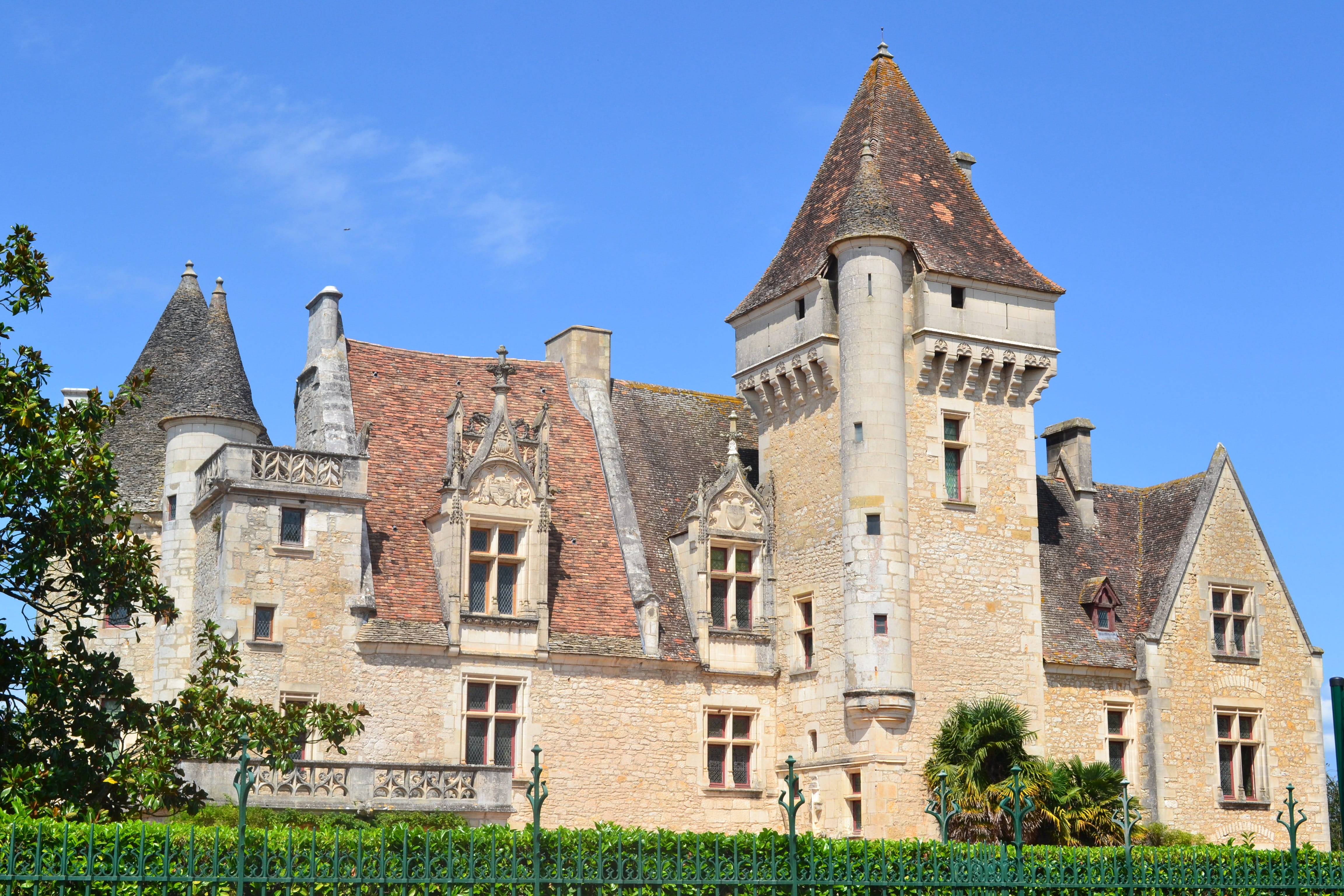 building exterior, Chateau Des Milandes, history, nature, old, house, plant, aquitaine, Castle, des, tower, clock, spire, no people, france, the past, built structure, HD Wallpaper