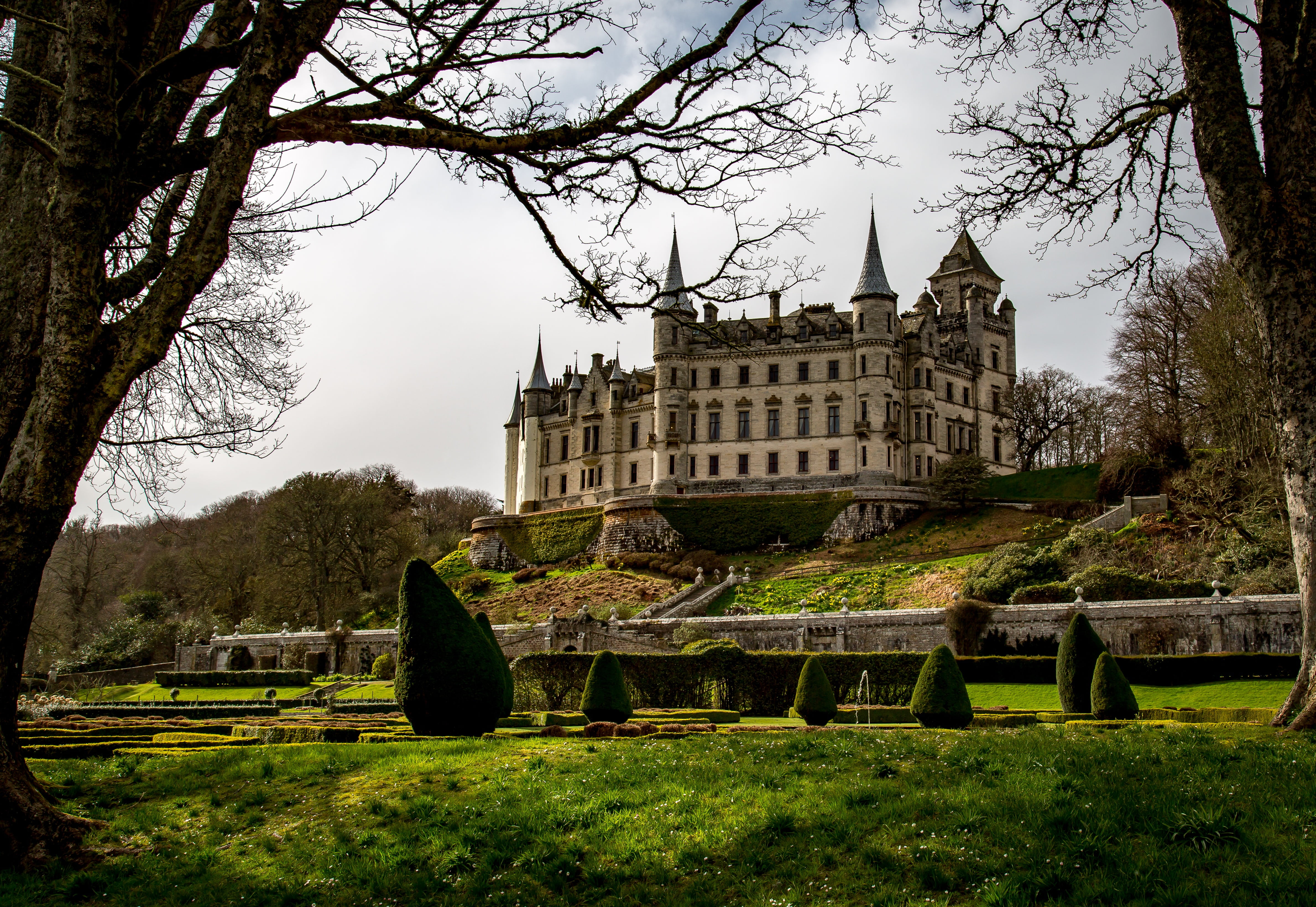 historical, outdoors, plant, the past, 4K, tourism, concrete, travel, nature, grass, ruined, castle, building exterior, scotland, bare tree, sky, white, HD Wallpaper