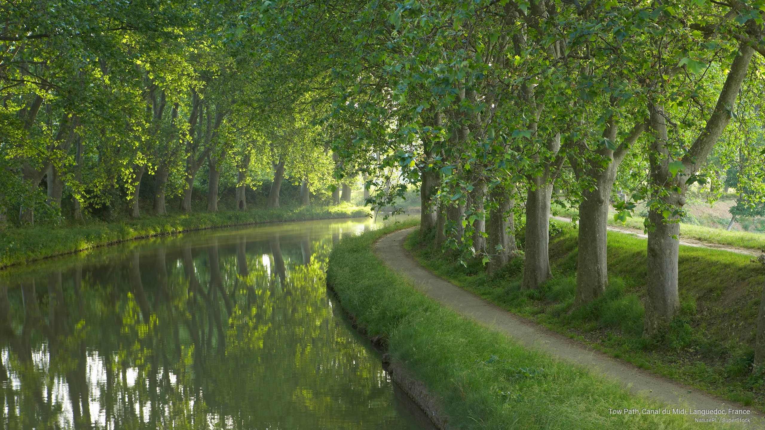 languedoc, france, Spring/Summer, 2K, midi, du, canal, path, tow, HD Wallpaper