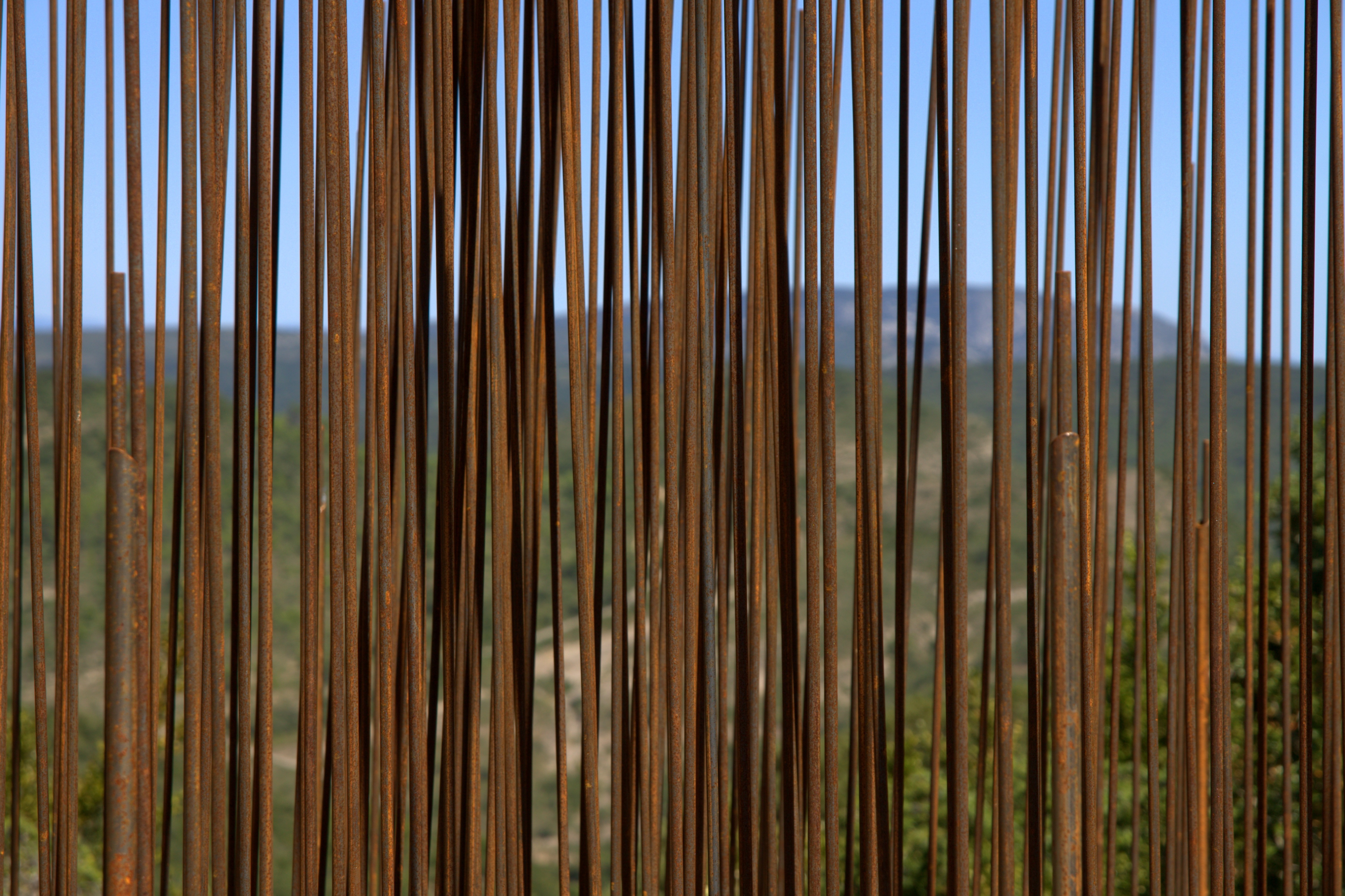 no people, fr, languedoc, bamboo - plant, focus on foreground, tranquility, forest, backpain, art walk, pattern, reflection, growth, culture, summer, sights, HD Wallpaper