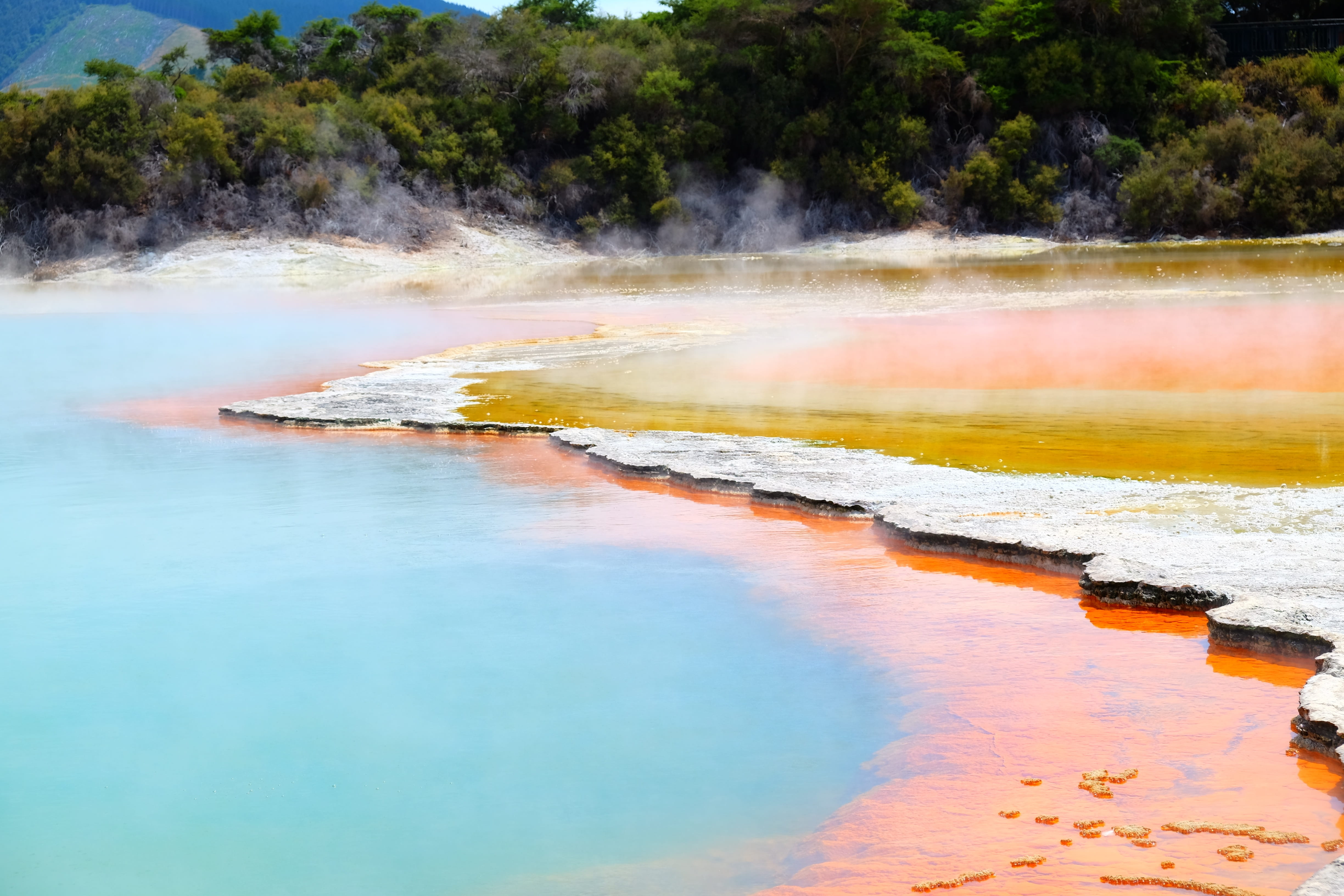geyser, sulphur, mineral, heat - temperature, lake, non-urban scene, beauty in nature, scenics - nature, rotorua, new zealand, power in nature, tranquil scene, HD Wallpaper