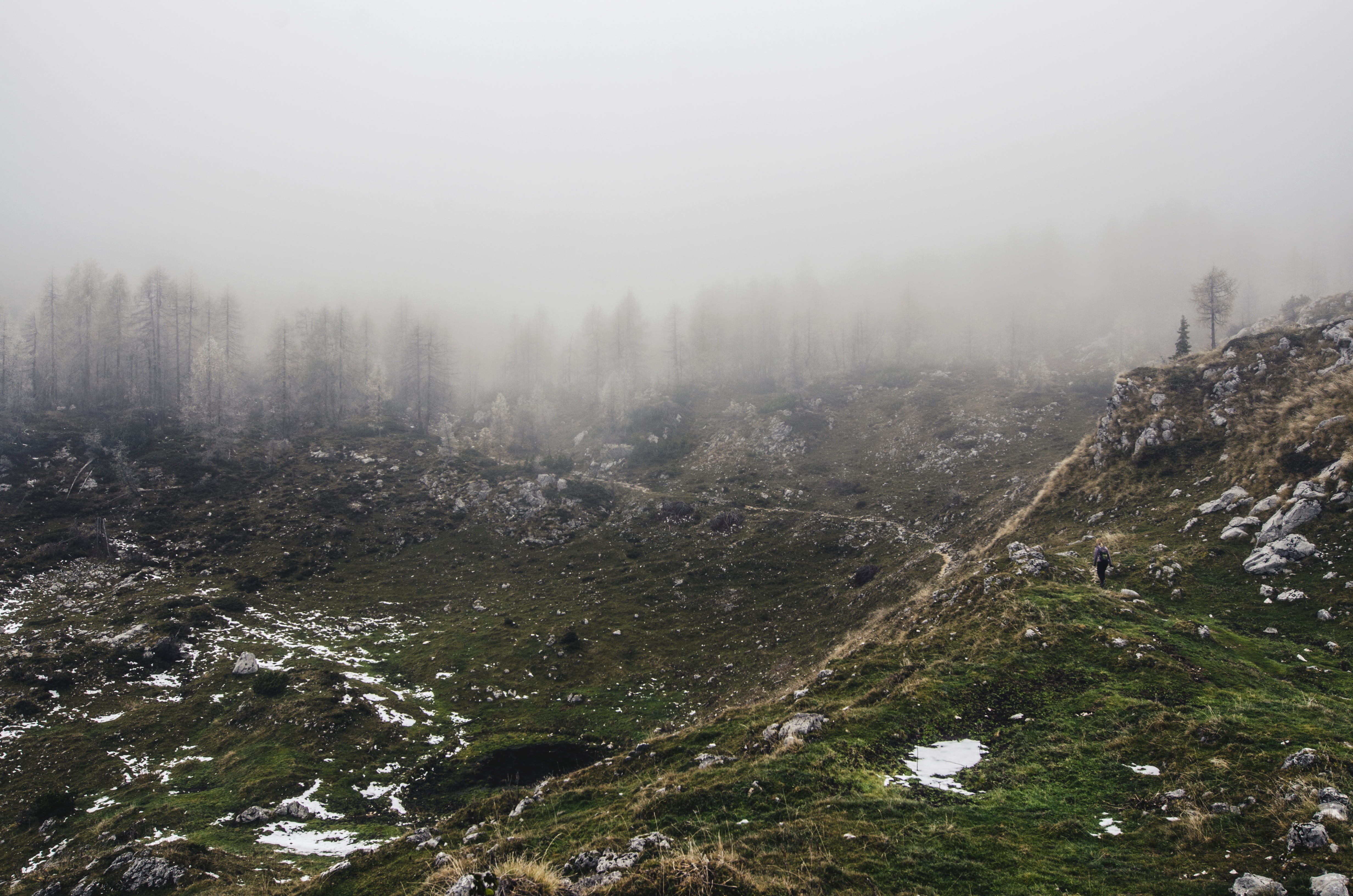 tree, cold temperature, winter, mountain range, mountain, smog, atmospheric phenomenon, non-urban scene, plant, environment, outdoors, mountainous landforms, HD Wallpaper