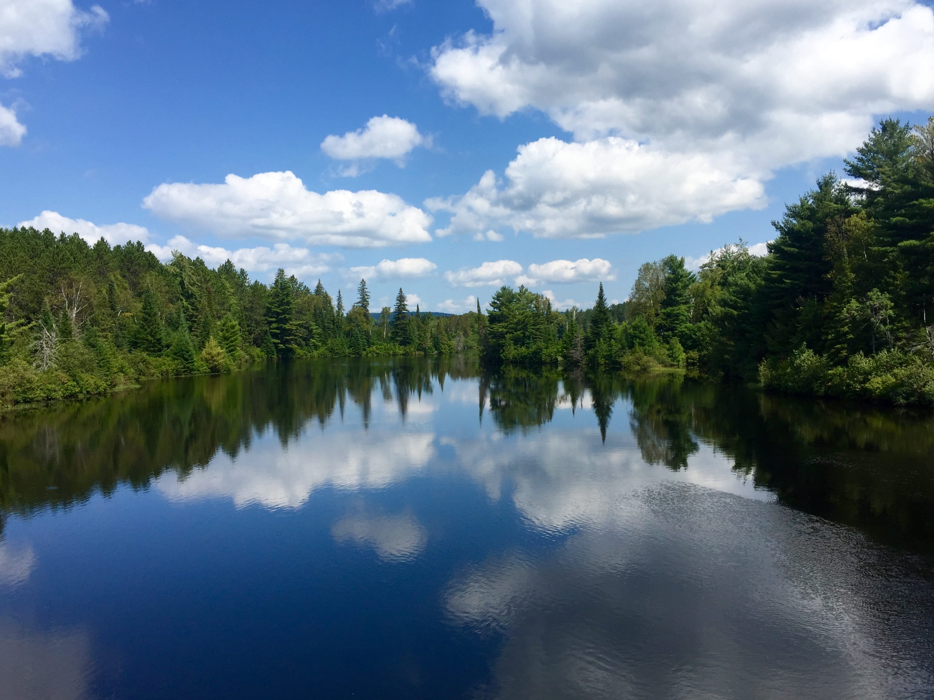 canada, coniferous tree, vista, tree, no people, environment, wilderness, merging, beauty in nature, plant, tranquility, cloud - sky, clouds, water, day, HD Wallpaper