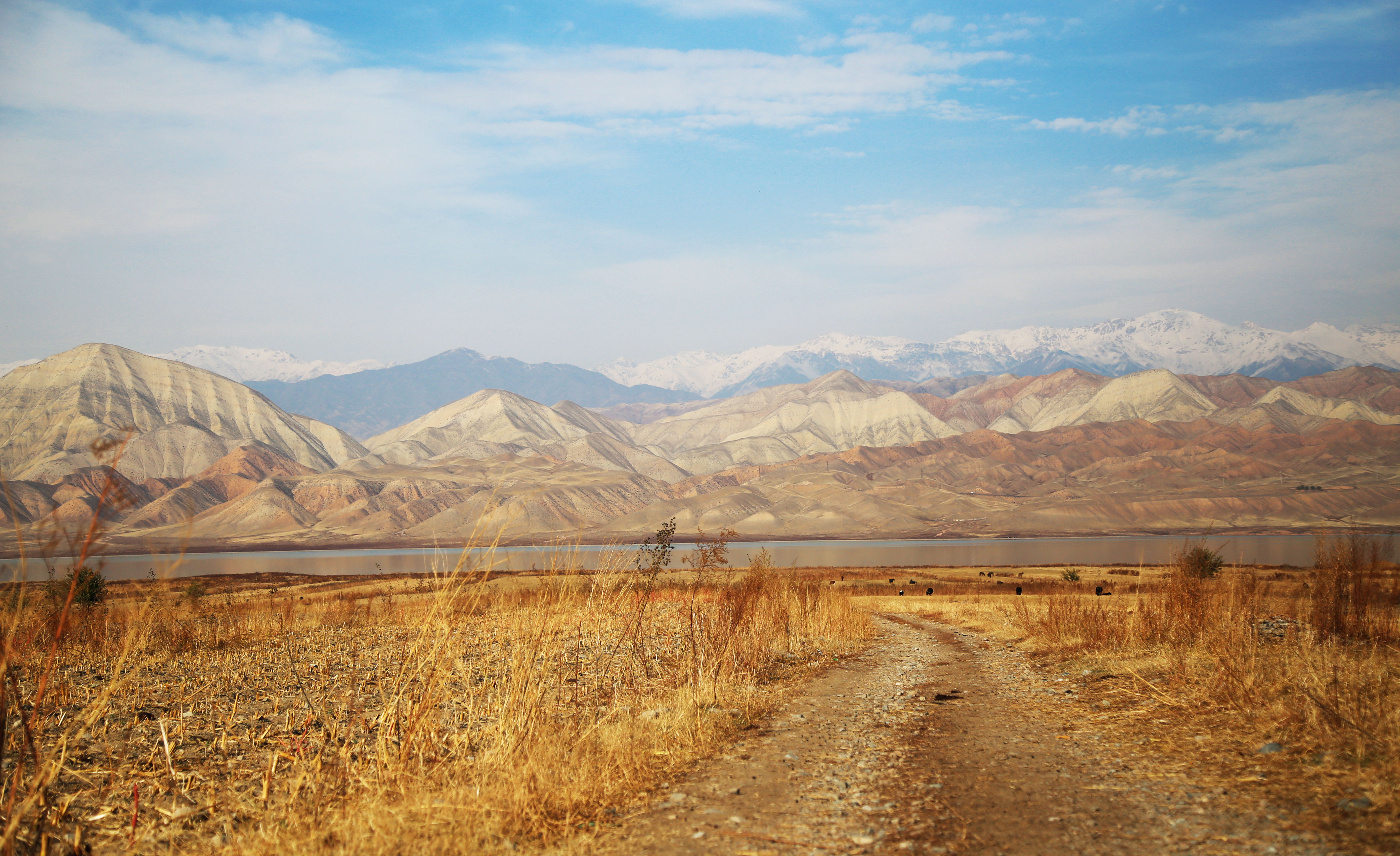 the way forward, cloud, road, non-urban scene, no people, daytime, near, view, photography, drought, mountain Range, day, outdoors, tranquil scene, 5K, HD Wallpaper