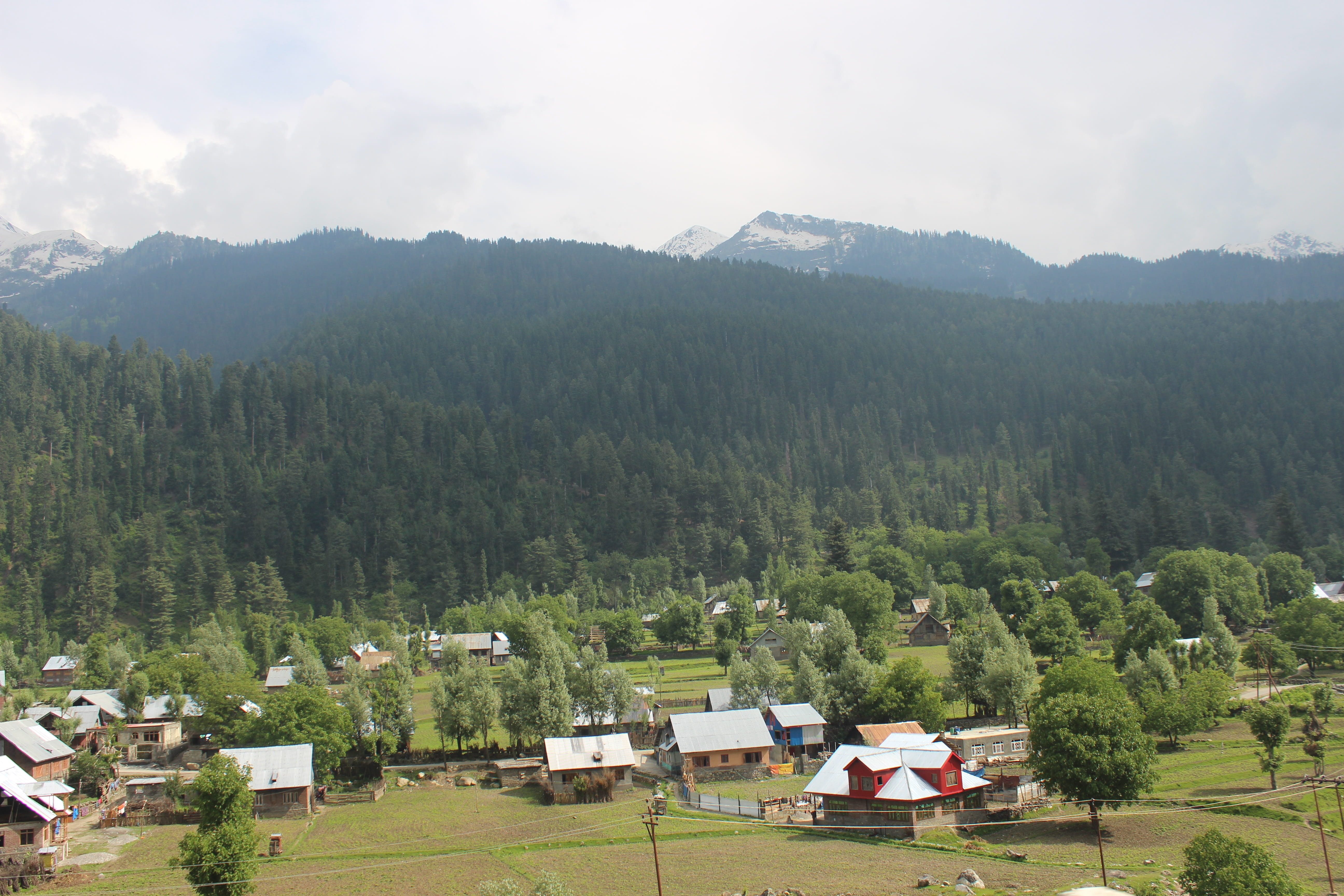 travel, building, india, sky, building exterior, scenics - nature, tourism, house, green color, plant, no people, day, high, nature, tibetan, residential district, HD Wallpaper