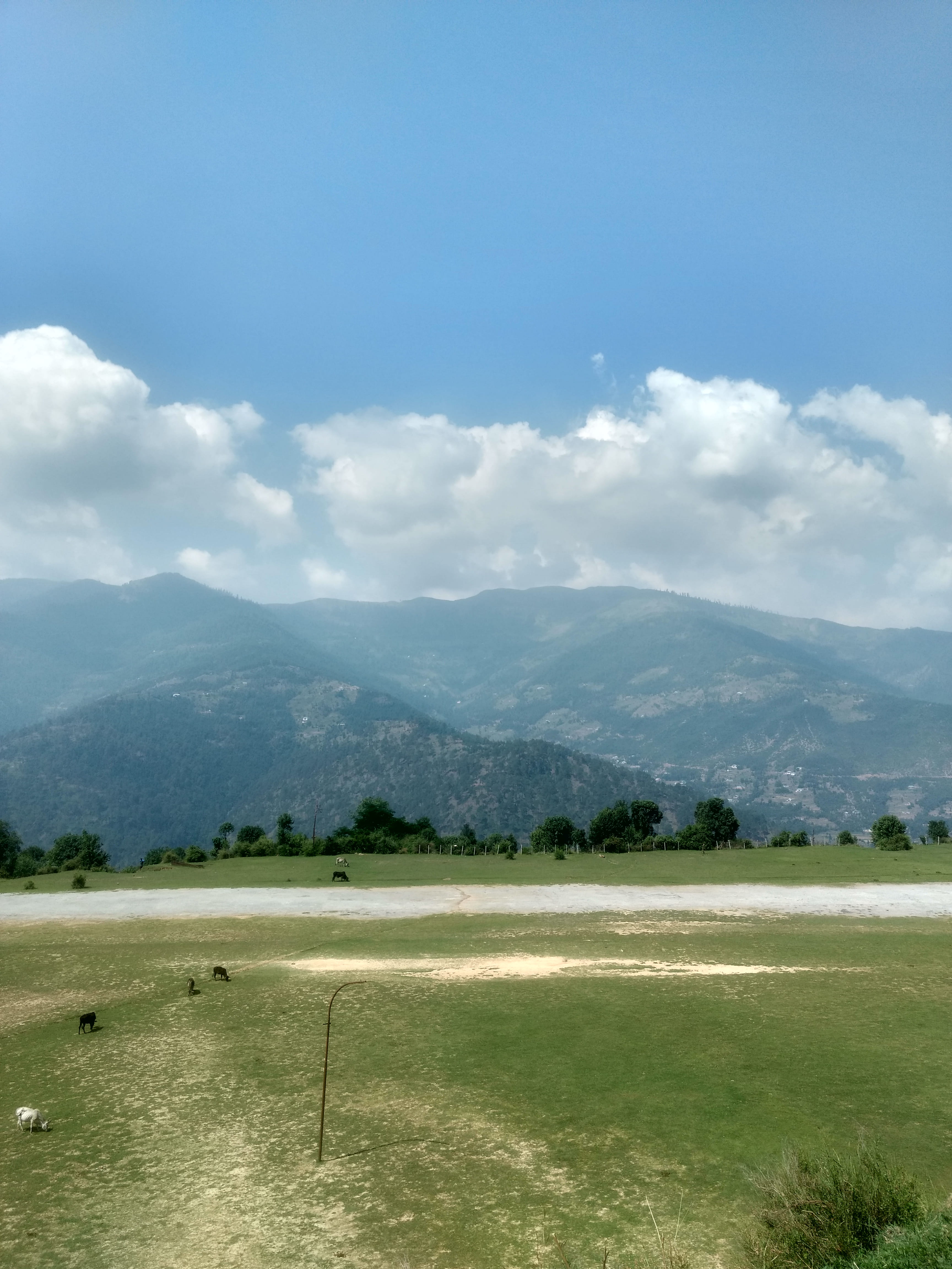 non-urban scene, plant, mountains, mantalai, forest, tranquility, trees, hills, scenics - nature, outdoors, nature, tree, mountain, mountain range, cloud - sky, Phone HD Wallpaper