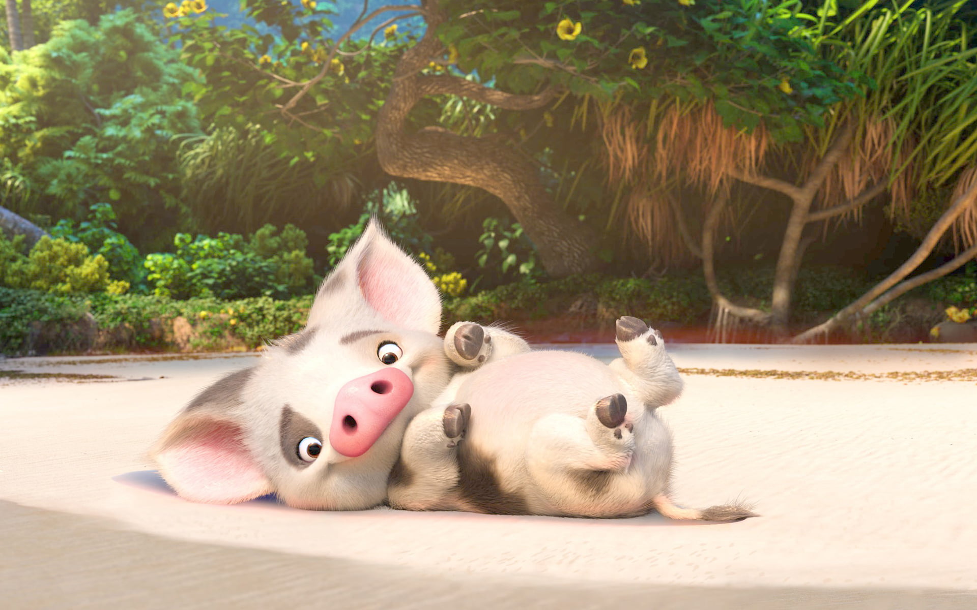 domestic, vertebrate, domestic animals, hollywood, no people, Hollywood Movies, dog, moana, looking at camera, pig, plant, portrait, animal head, mammal, HD Wallpaper