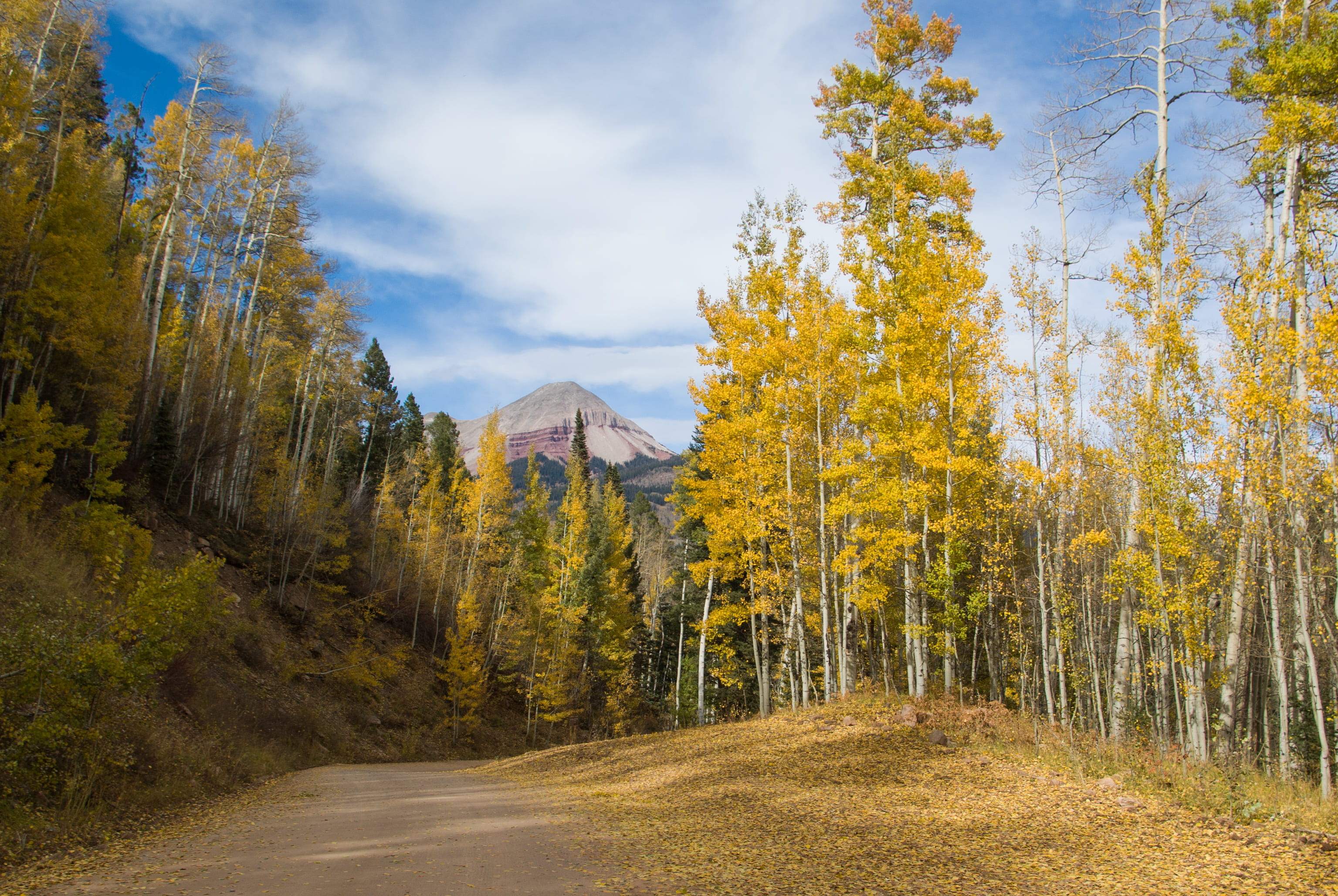 the way forward, plant, sky, fall, coniferous tree, season, engineer mountain, road, framed, beauty in nature, forest, san juan mountain, dirt road, wander, HD Wallpaper