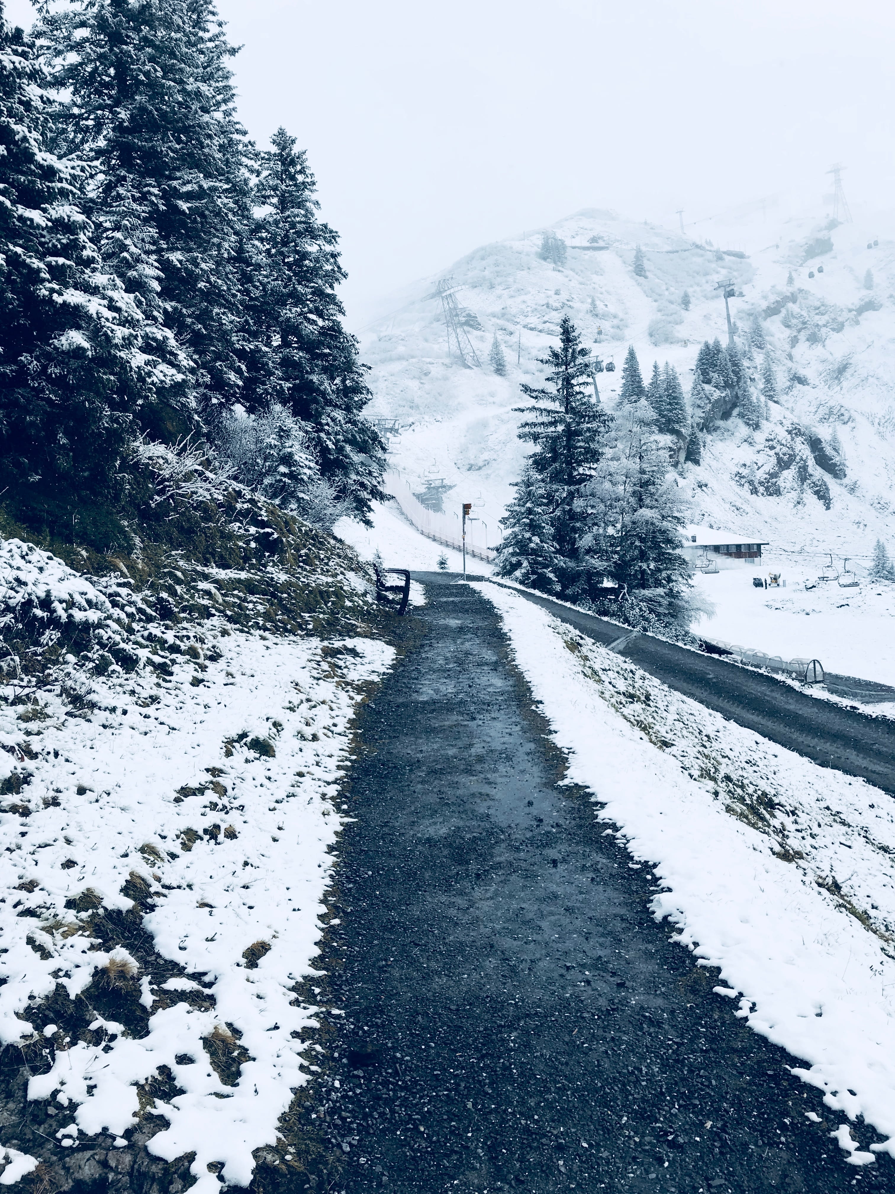 forest, white color, lake, tree, day, mount titlis, gadmen, plant, outdoors, 4K, nature, road, diminishing perspective, beauty in nature, trees, beauty, Phone HD Wallpaper
