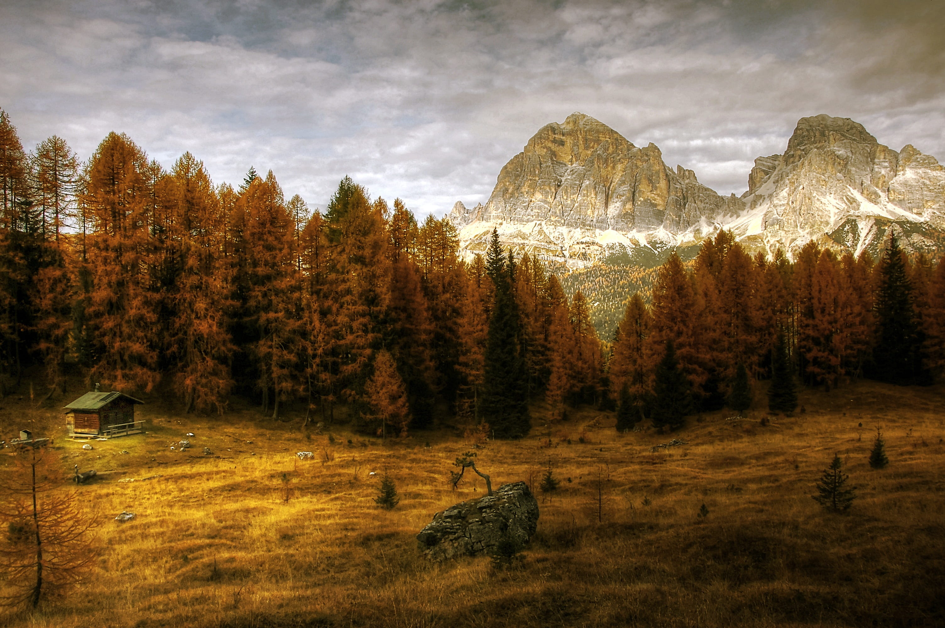 day, clouds, landscape, dolomites, forest, tranquility, tofane, belluno, hiking, unesco world heritage, change, italy, nature, mountains, panorama, land, HD Wallpaper
