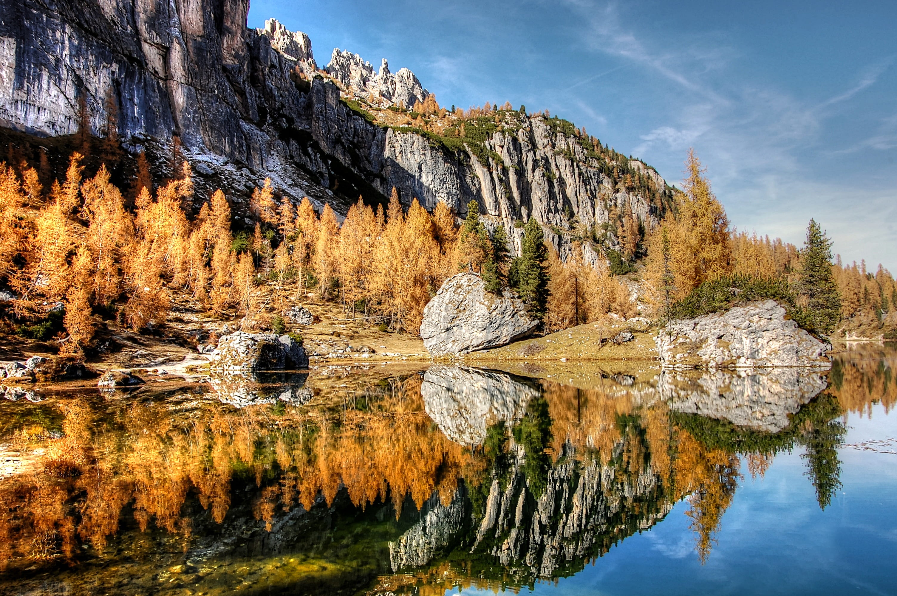 coniferous tree, no people, rock, hiking, tree, land, pine woodland, unesco world heritage, autumn, italy, plant, mountains, outdoors, tranquil scene, 2K, HD Wallpaper