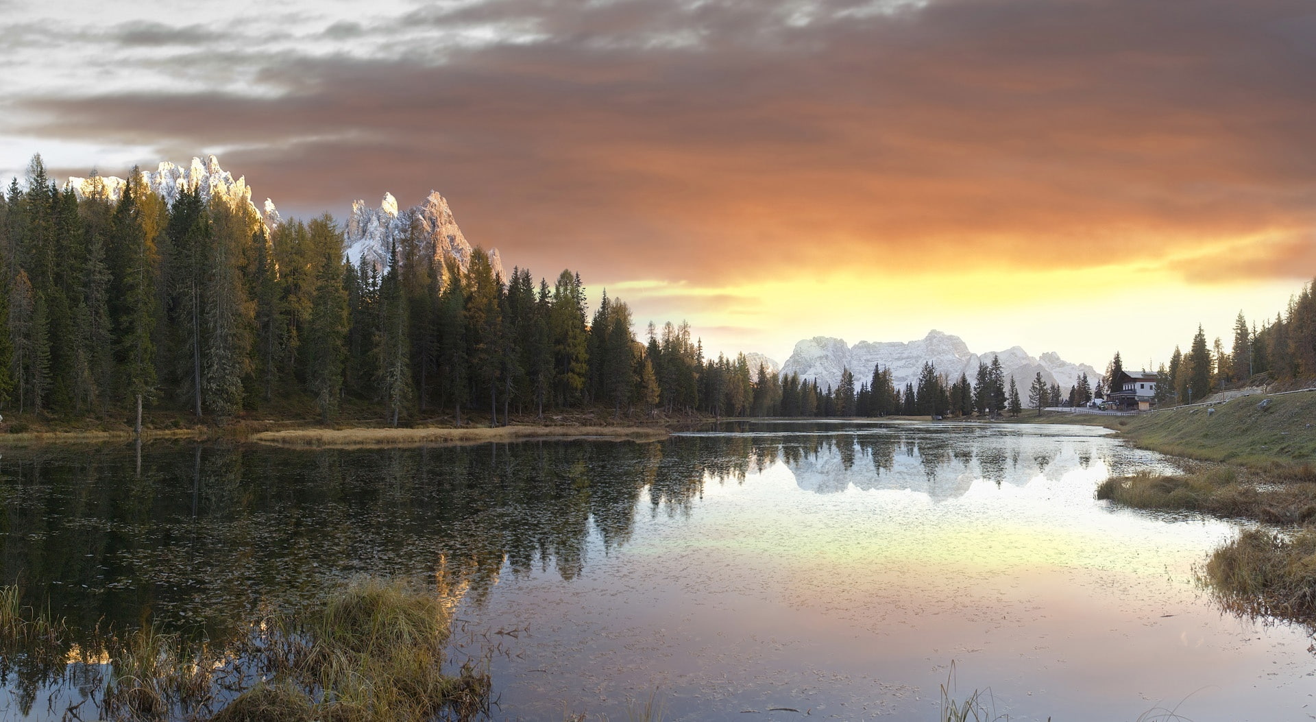 non-urban scene, plant, nature, lake, outdoors, Europe, tree, scenics - nature, alta pusteria, alta, Italy, field, bolzano district, pine, district, waterfront, HD Wallpaper