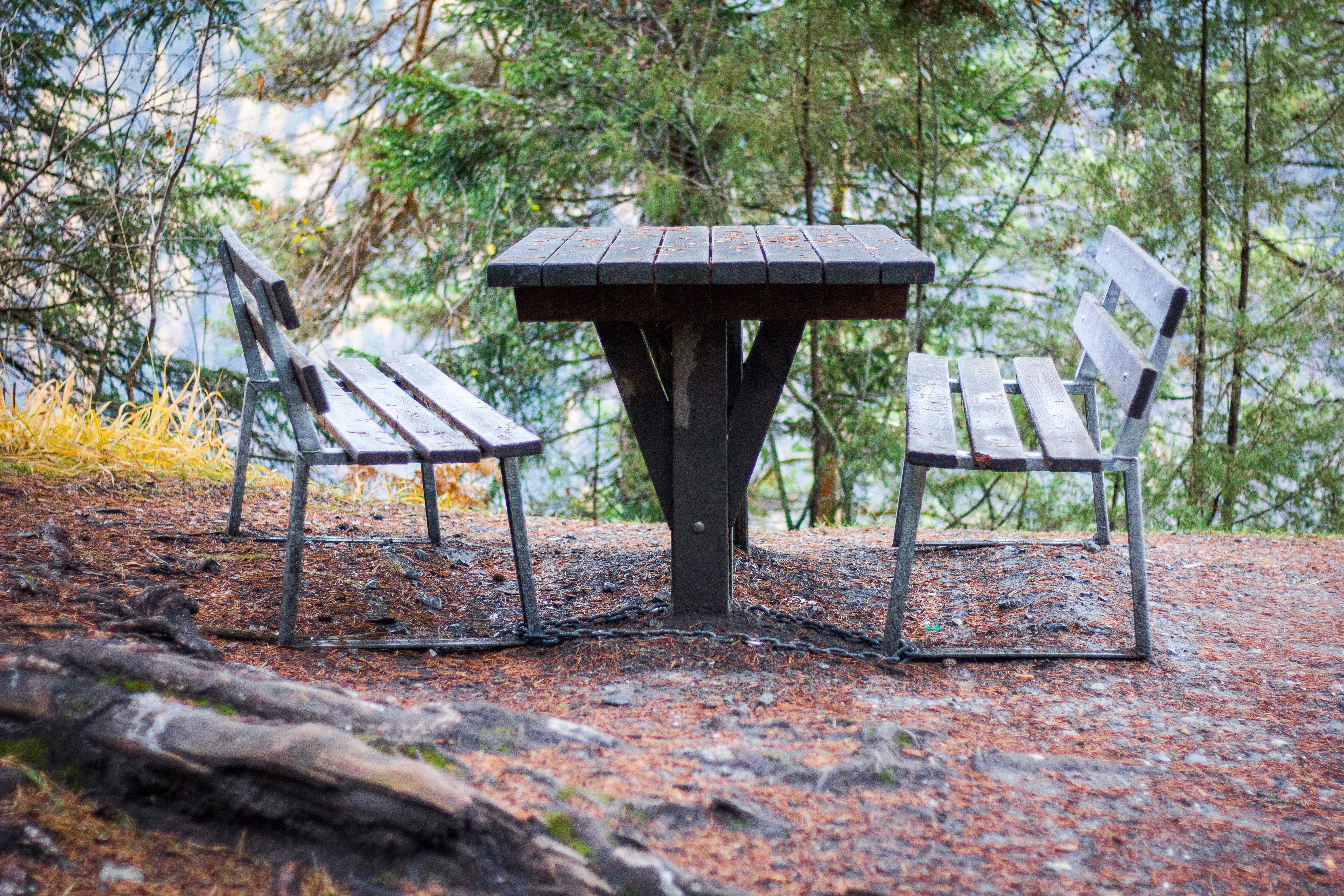 seat, furniture, rest, wood - material, tree, empty, canyon, table, park, no people, day, mountain world, front rhine, bench, tranquility, chair, park - man made space, HD Wallpaper