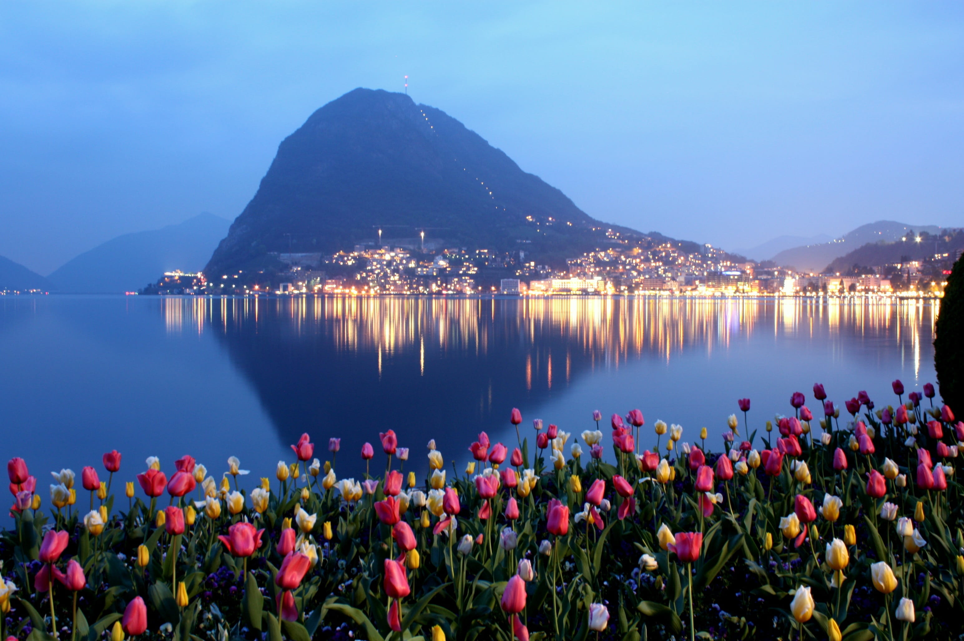 reflection, san salvatore, growth, tranquility, lake, sunset, flowering plant, travel, no people, outdoors, sky, flower, vulnerability, day, season, nature, HD Wallpaper
