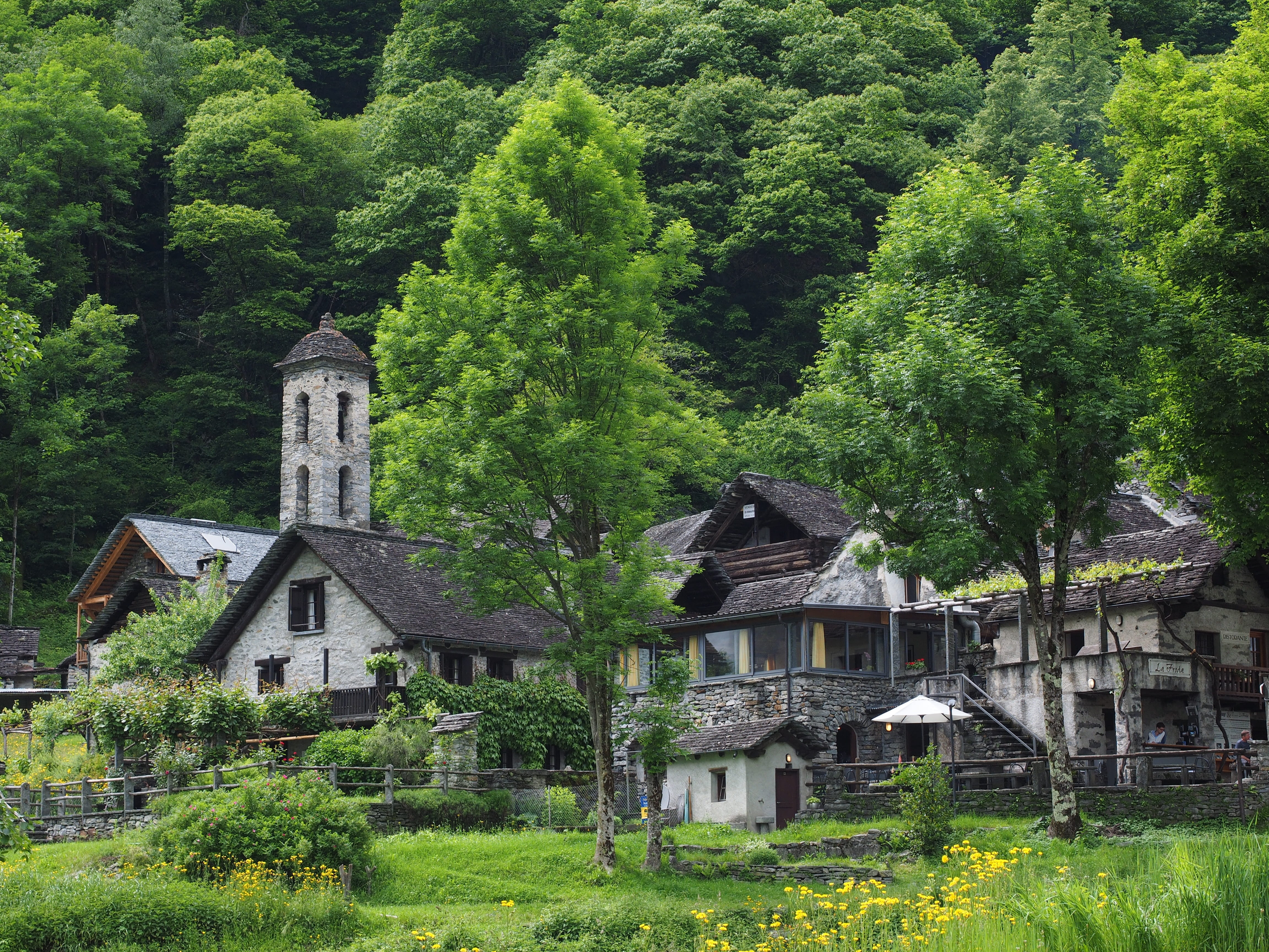 malcantone, beauty in nature, stone house, building, built structure, valle maggia, village core, alpine, sessa, forest, bergdorf, village, old, day, house, HD Wallpaper