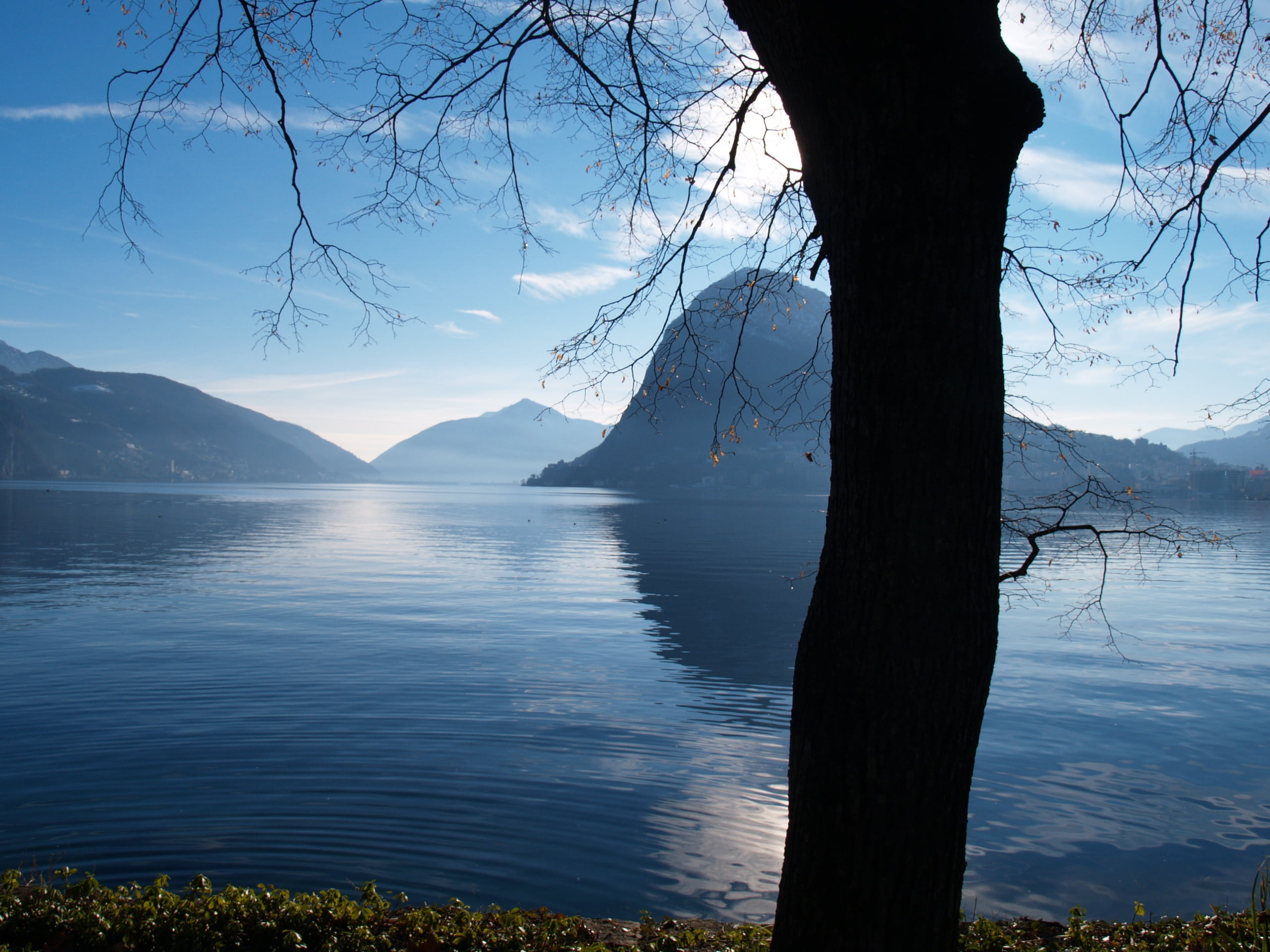 mountain range, scenics - nature, bare tree, outdoors, 2K, beauty in nature, tranquil scene, mountain, san salvatore, no people, trunk, lake, water, scenics, HD Wallpaper