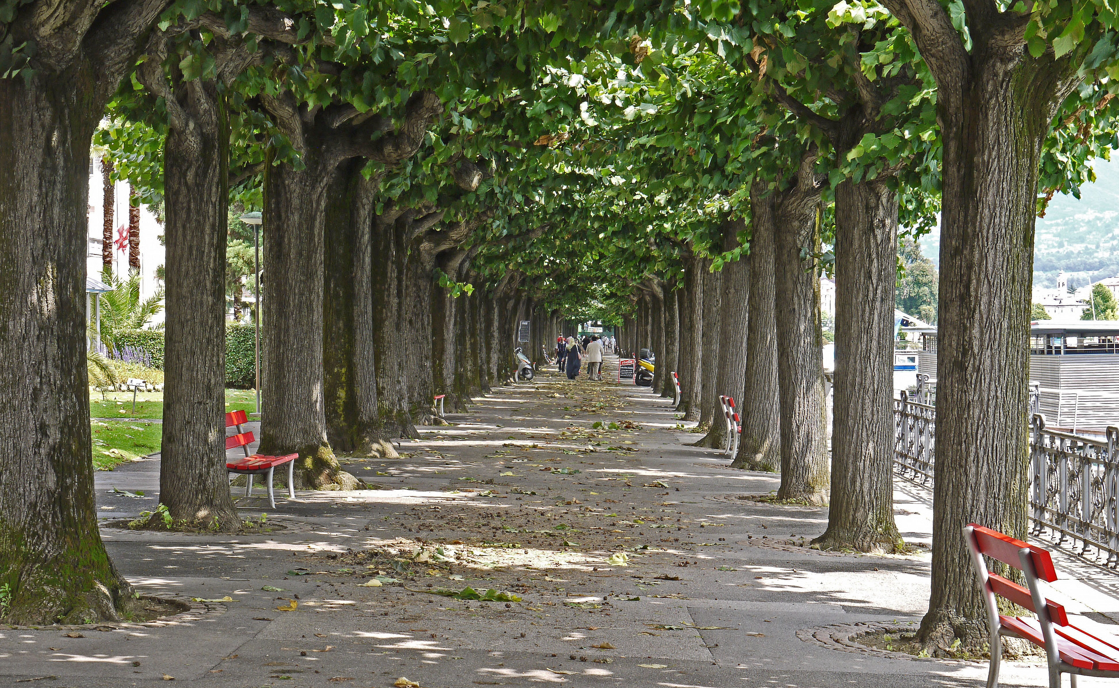 nature, Lugano, lake promenade, fences, Switzerland, in a row, lago di lugano, footpath, tree, lake lugano, tree trunk, park - man made space, treelined, HD Wallpaper