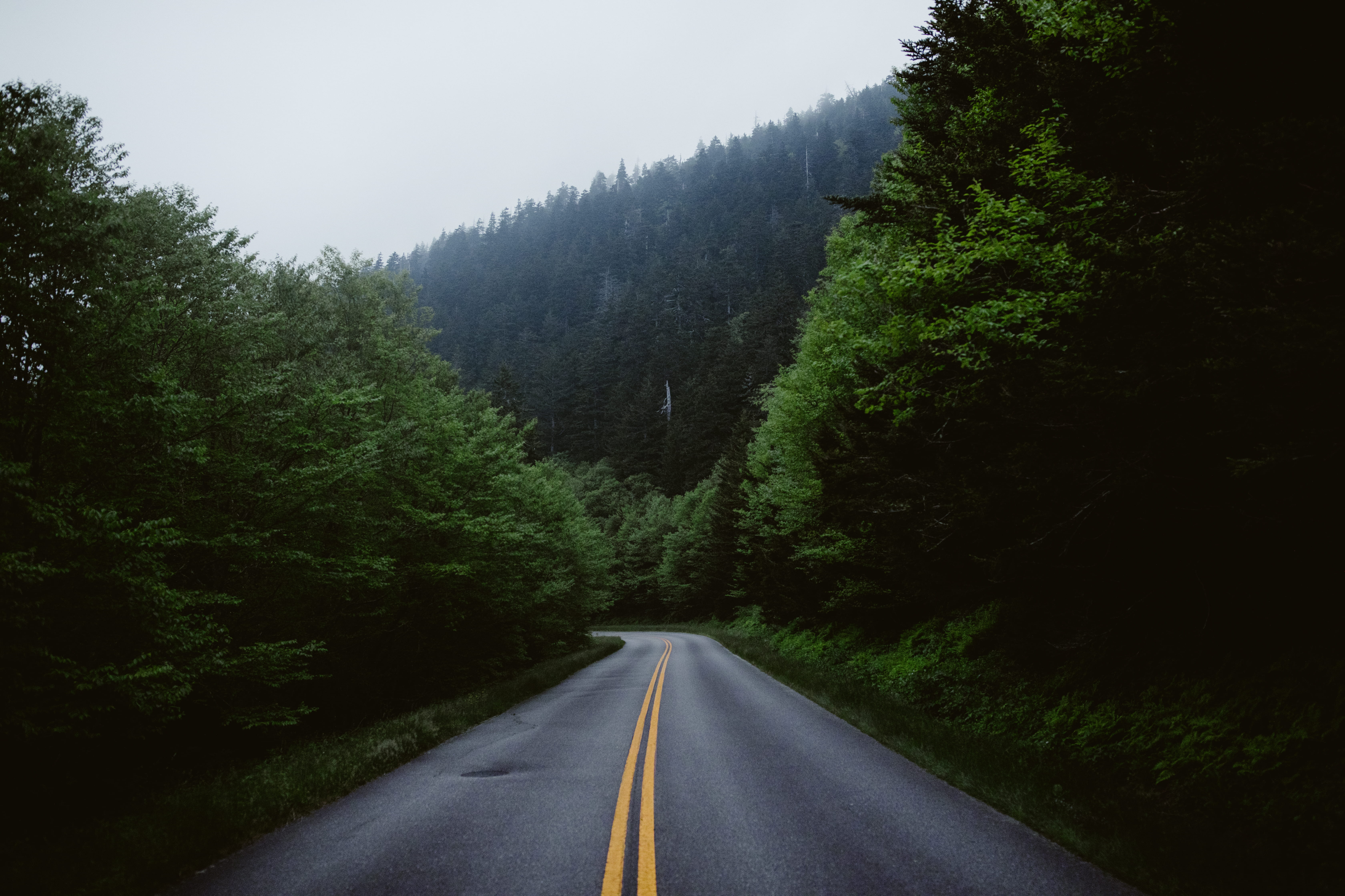 blue ridge mountain, outdoor, empty, road marking, surrounded, blue ridge, adventure, tranquility, double yellow line, background, street, mount mitchell state park, HD Wallpaper