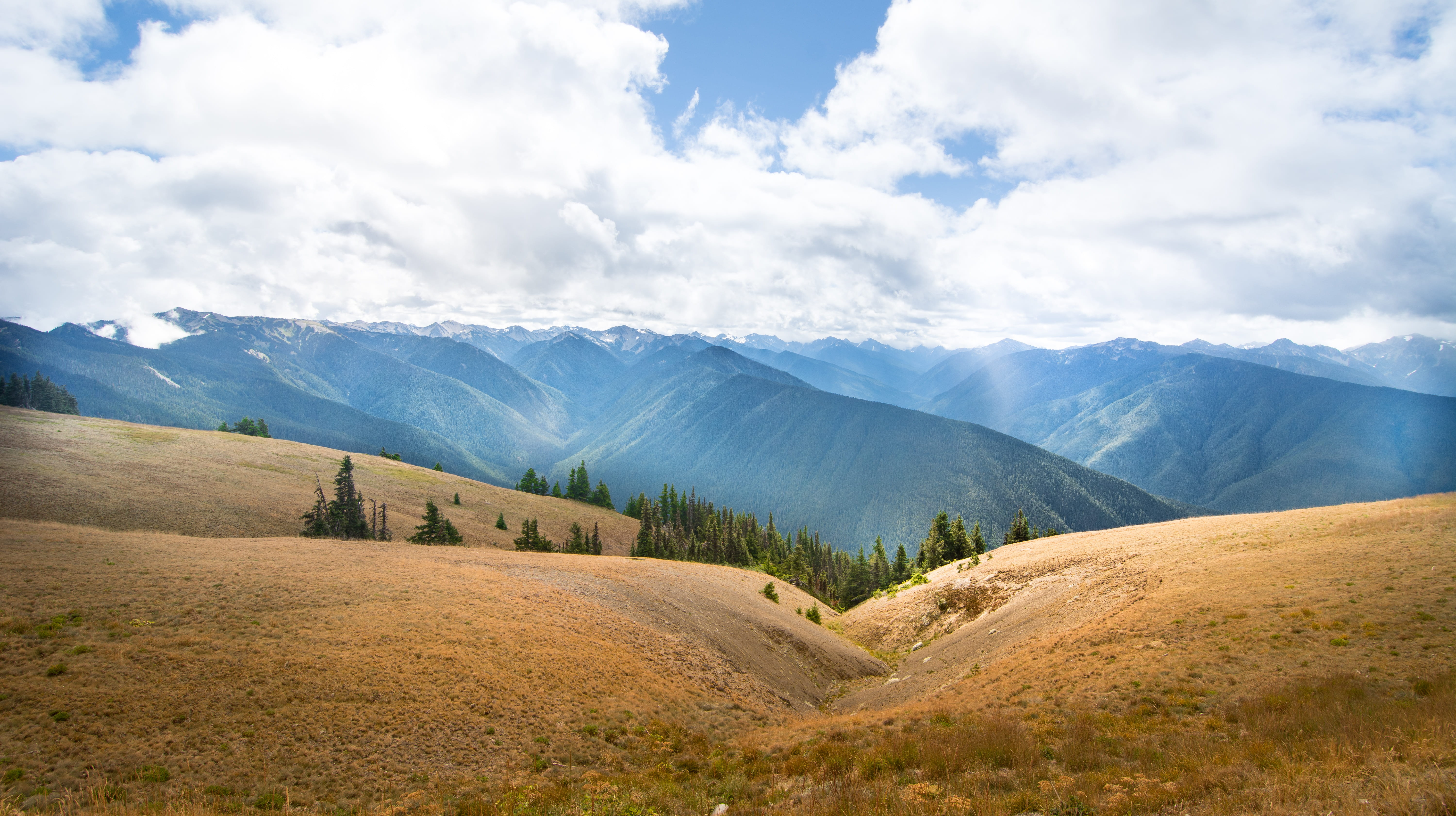 hillside, 5K, landscape, pine woodland, plant, layer, outdoor, cloud - sky, mountain ridge, tranquil scene, dirt road, gravel, sky, valley, hike, hill, HD Wallpaper