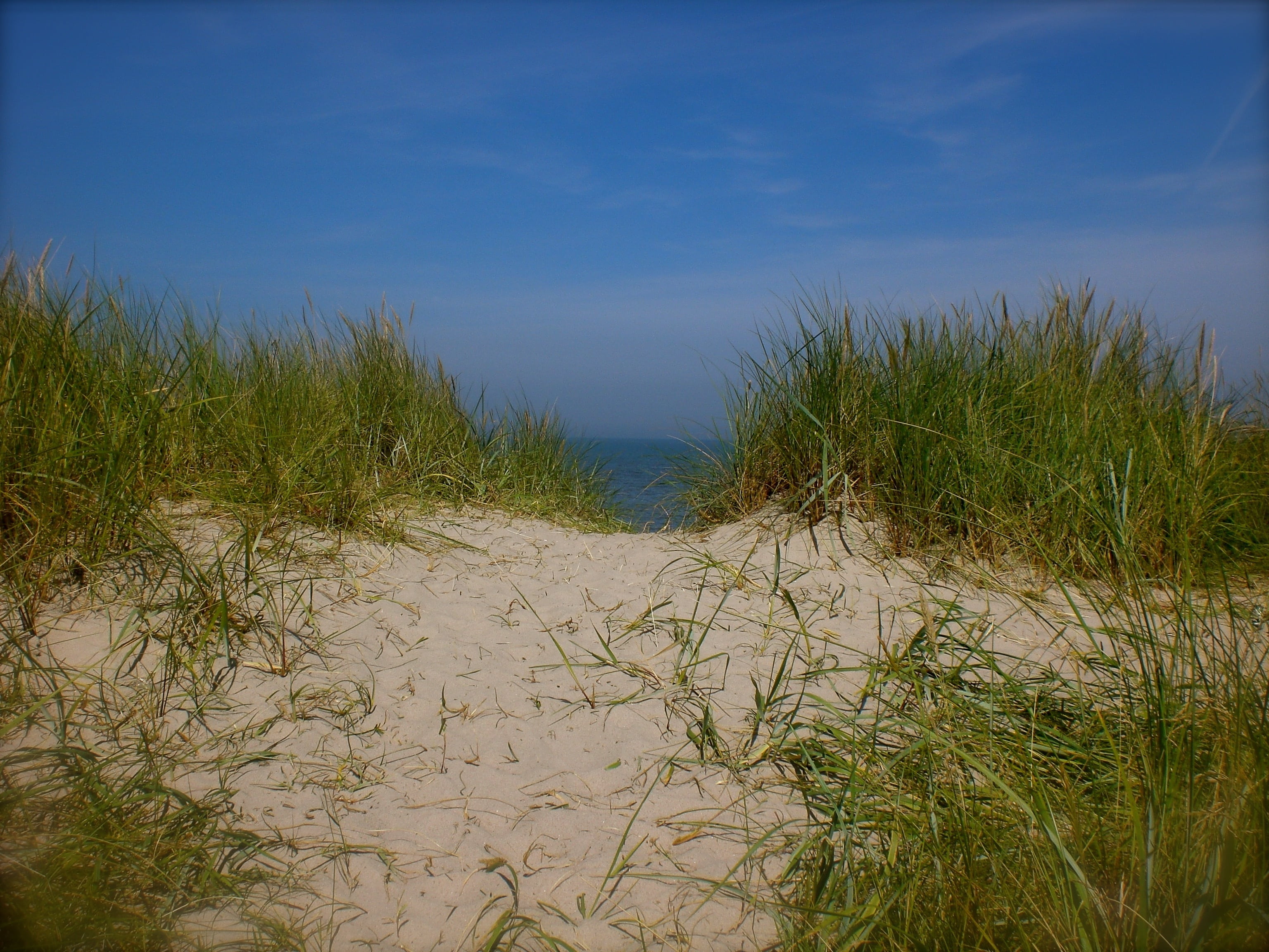 sky, 2K, environment, swamp, sea, no people, beauty in nature, outdoors, water, green color, day, growth, scenics - nature, dune ridge, land, dunes, nature, HD Wallpaper