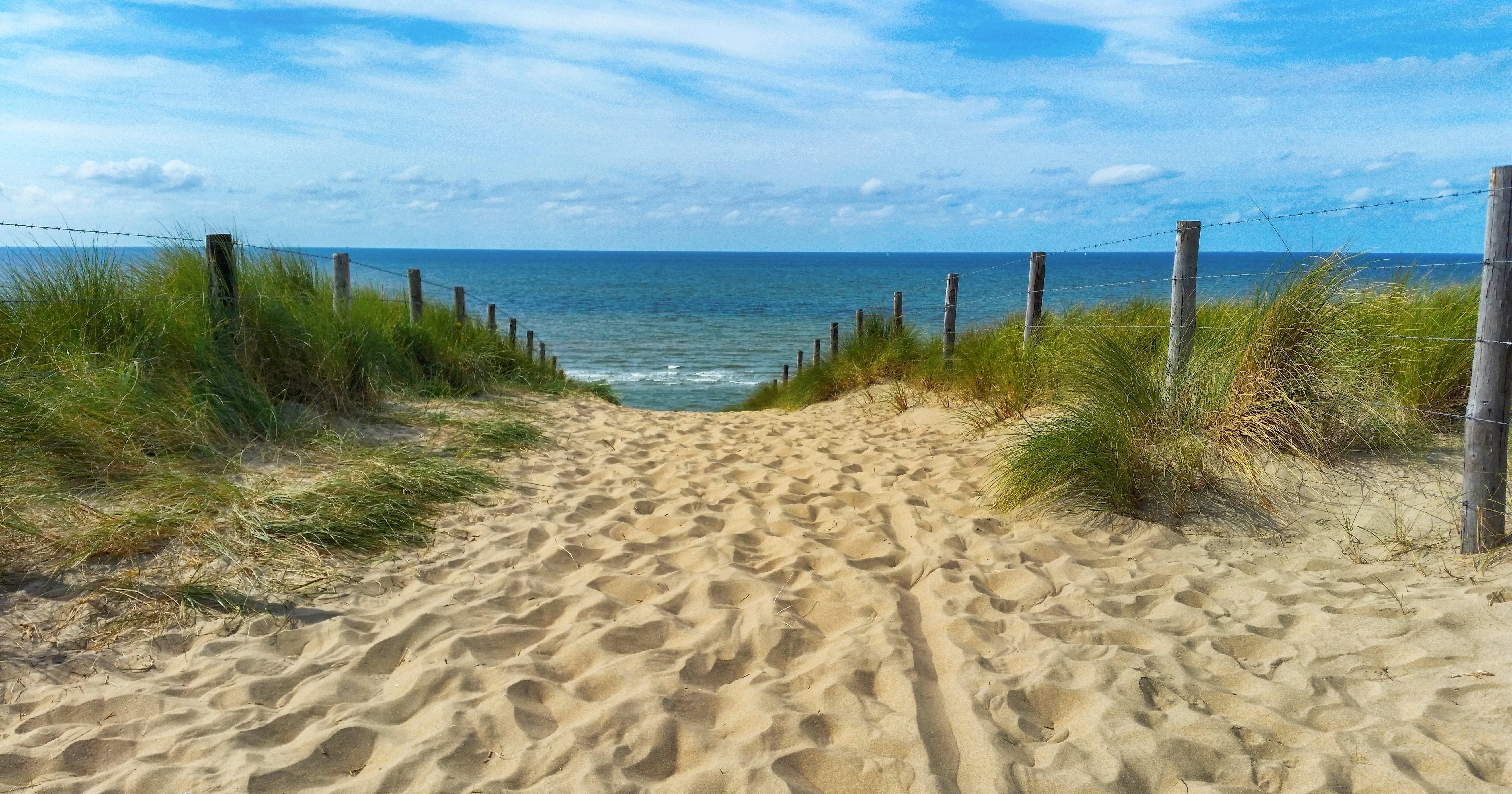 water, plant, dune ridge, dune grass, photography, tranquility, cloud - sky, marram grass, 5K, horizon over water, sea, tranquil scene, no people, landscape photography, HD Wallpaper