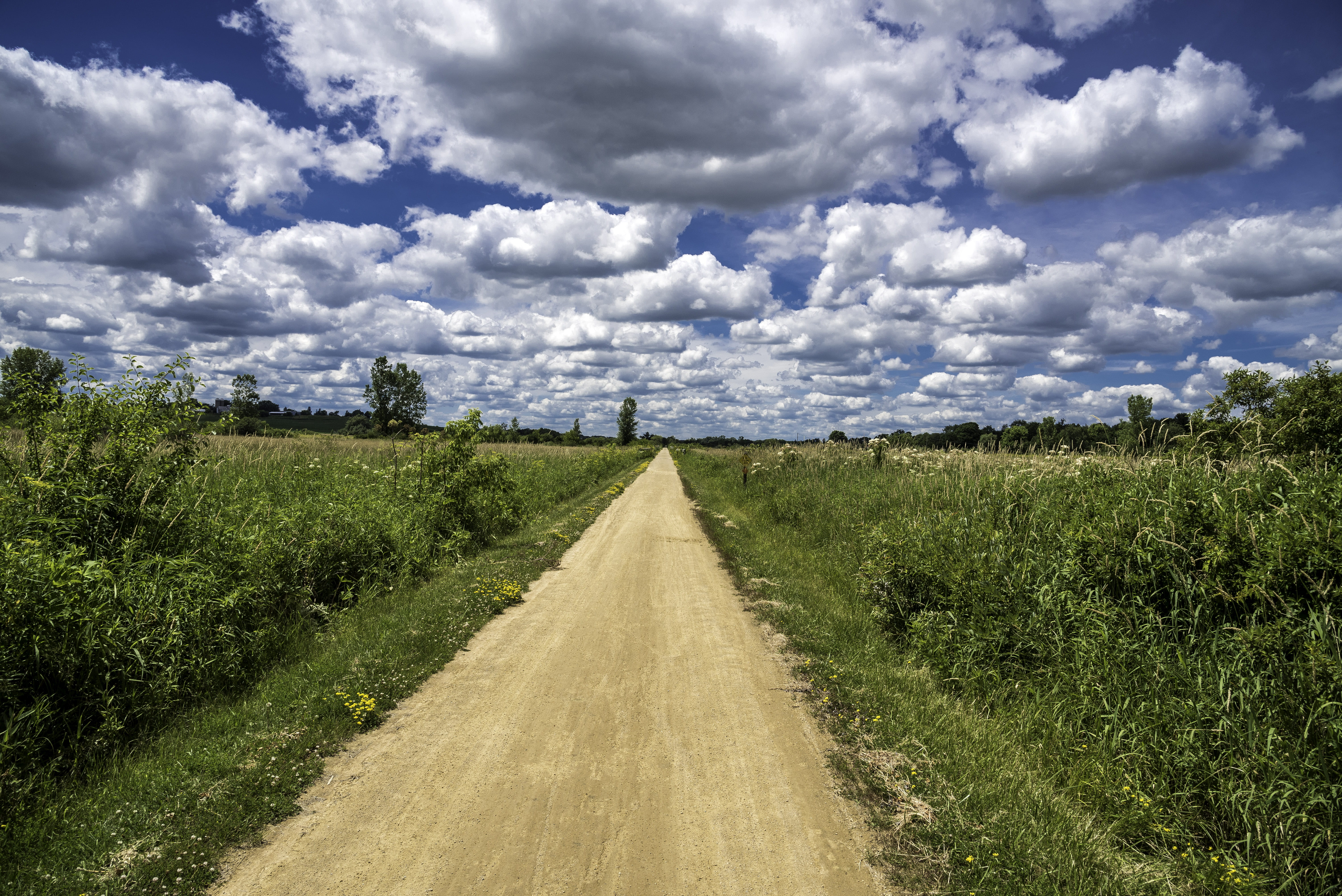 non-Urban Scene, footpath, sky, environment, scenics - nature, rural Scene, photos, agriculture, outdoors, the way forward, clouds, green Color, United States, HD Wallpaper