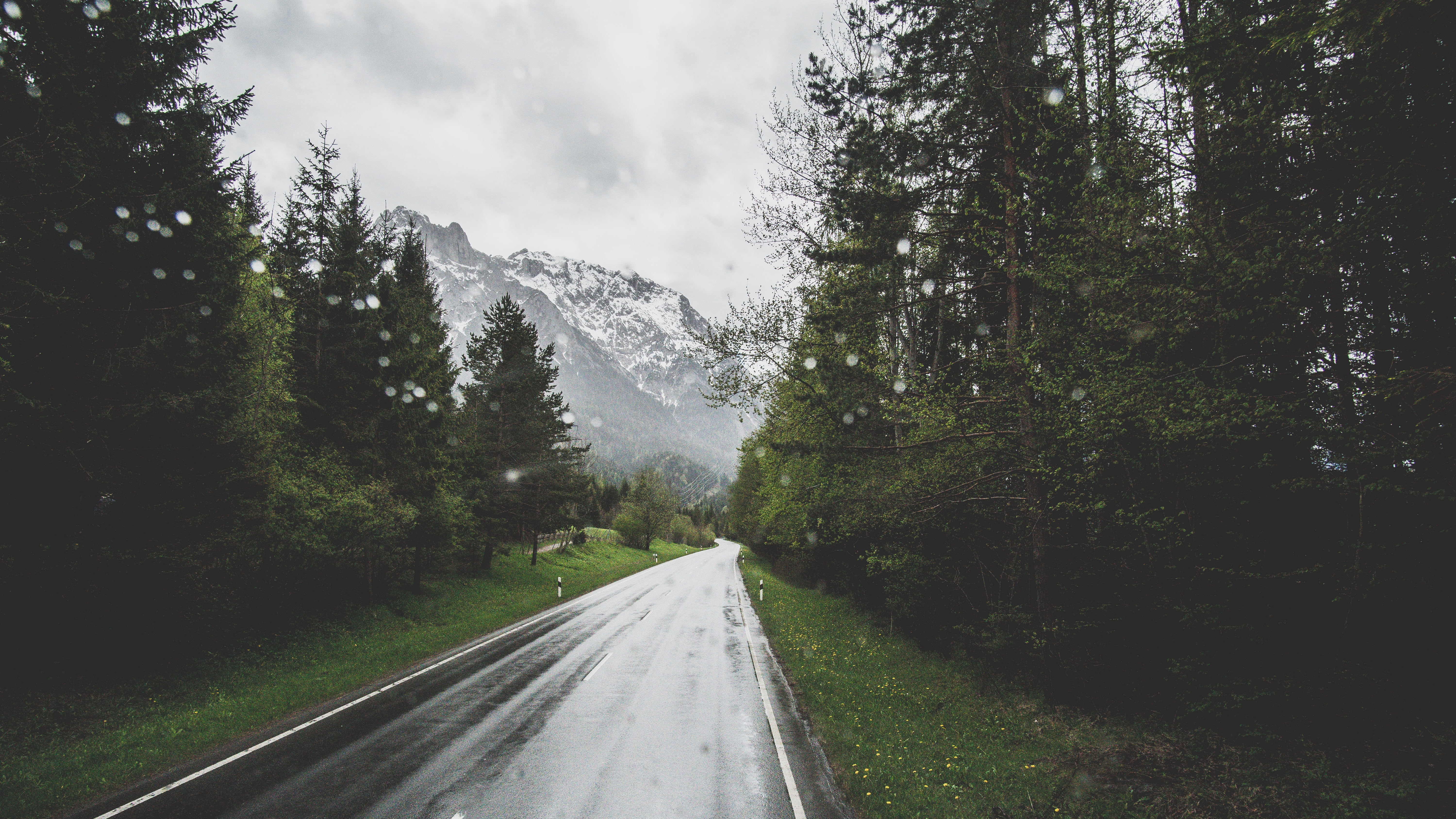 snow, nature, sky, mountain, tree, cloudy, coniferous tree, diminishing perspective, non-urban scene, 5K, plant, the way forward, travel, scenics - nature, HD Wallpaper