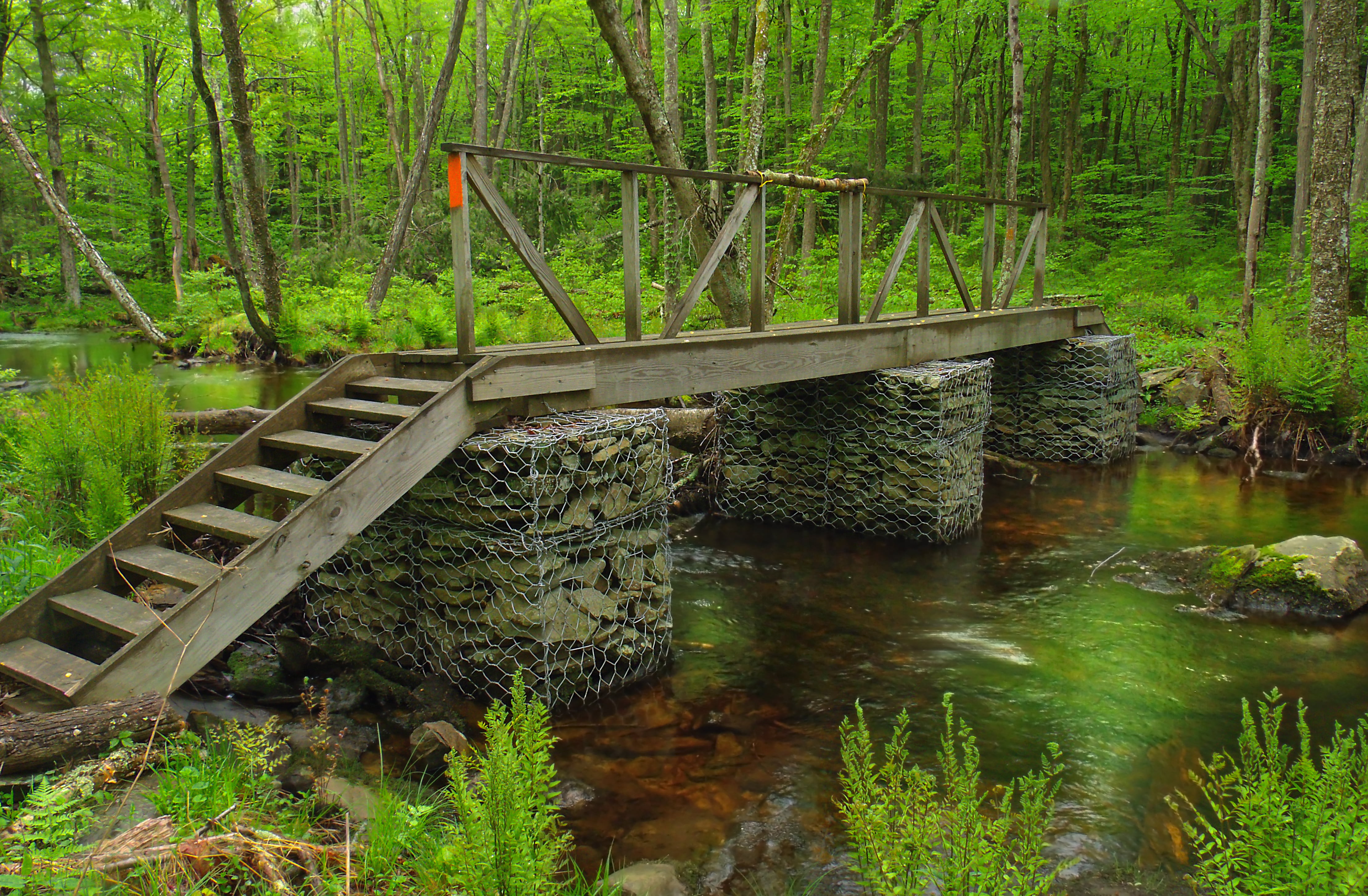 Pennsylvania, steel, 4K, footbridge, surrounded, wooden, Revisited, Pike County, water, creative commons, spring, river, daytime, bridge, hiking  trail, HD Wallpaper
