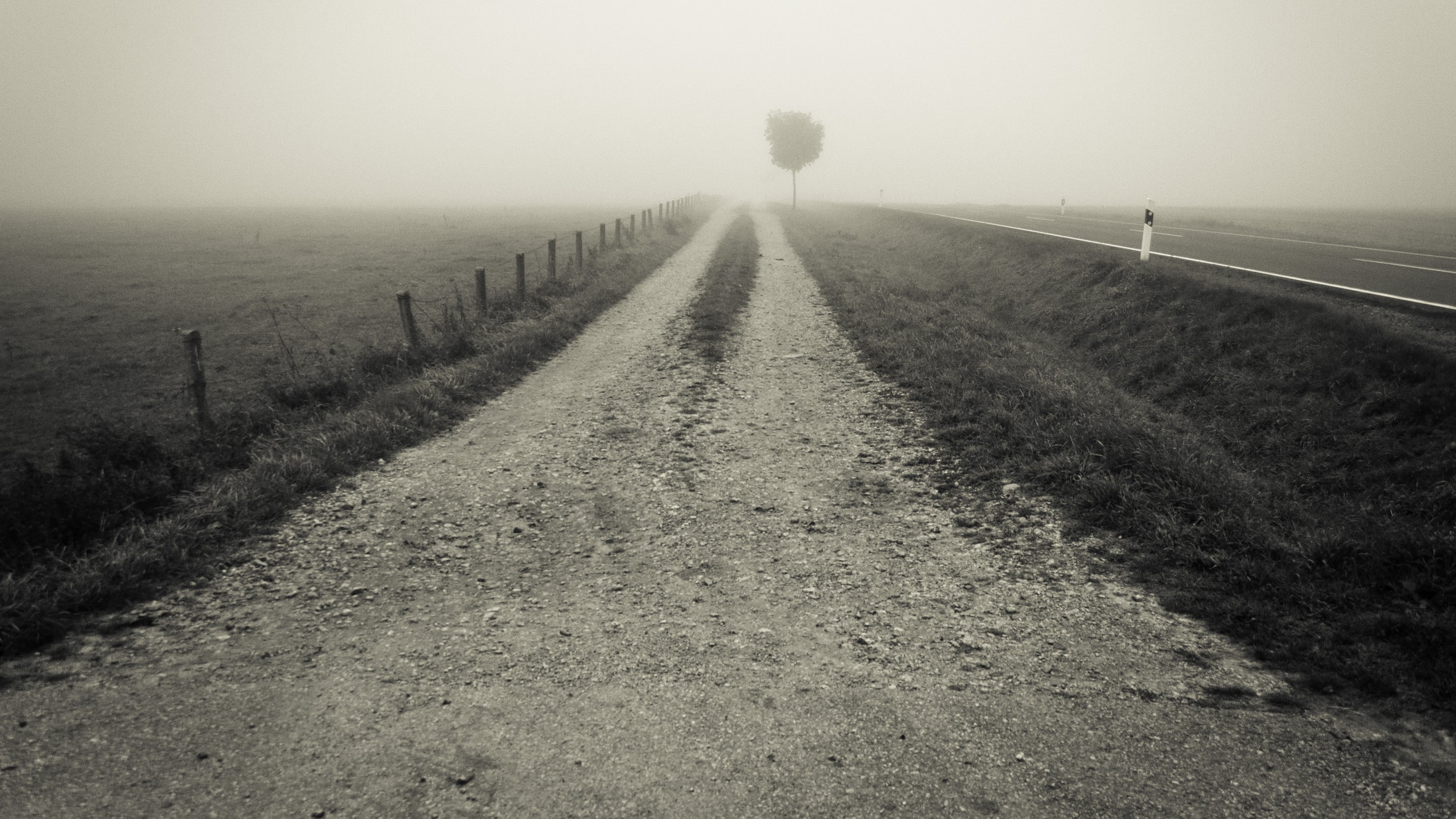 road, monochrome, fence, gravel, field, landscape, 2K, mist, HD Wallpaper
