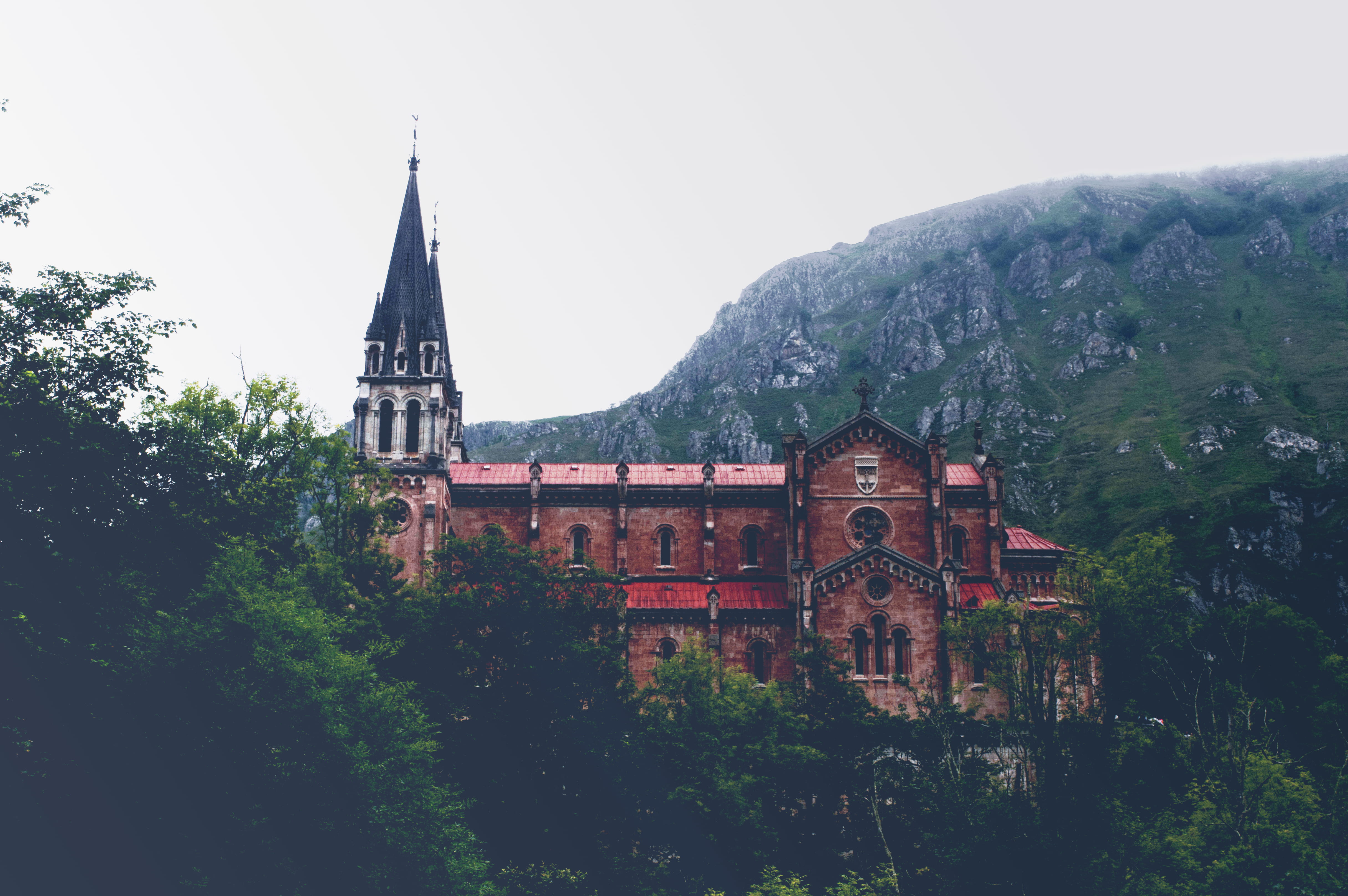 growth, tree, travel, belief, catedral, asturias, sky, plant, medieval, religion, no people, mountain, outdoors, red, spire, white, nature, covadonga, iglesia, HD Wallpaper